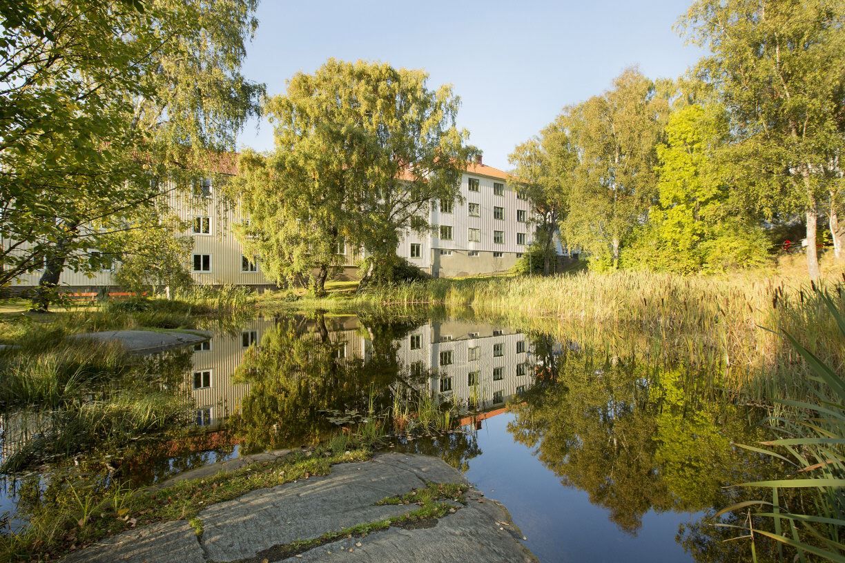 Grönområden utanför husknuten