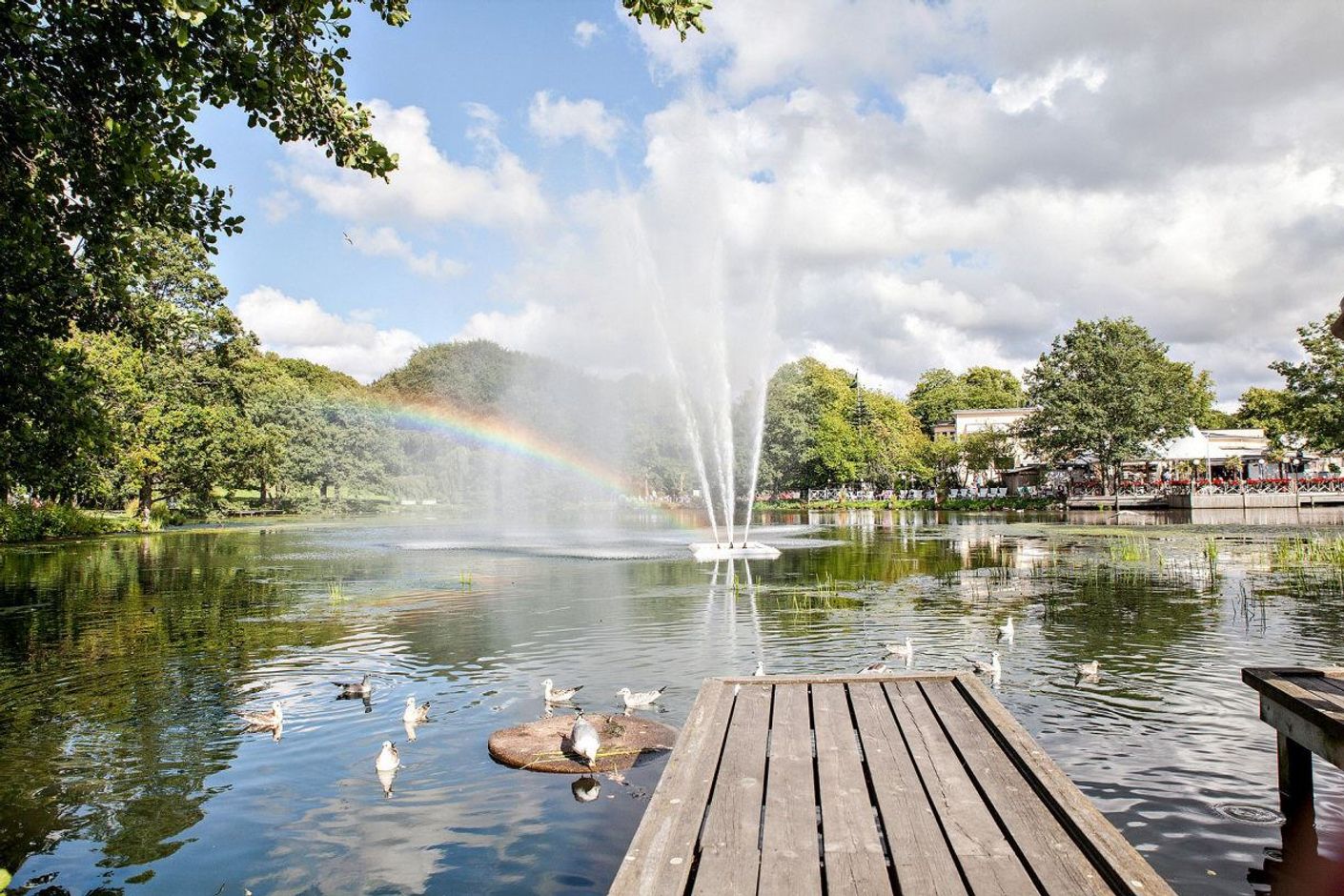Grönskande Slottsskogen med promenadavstånd