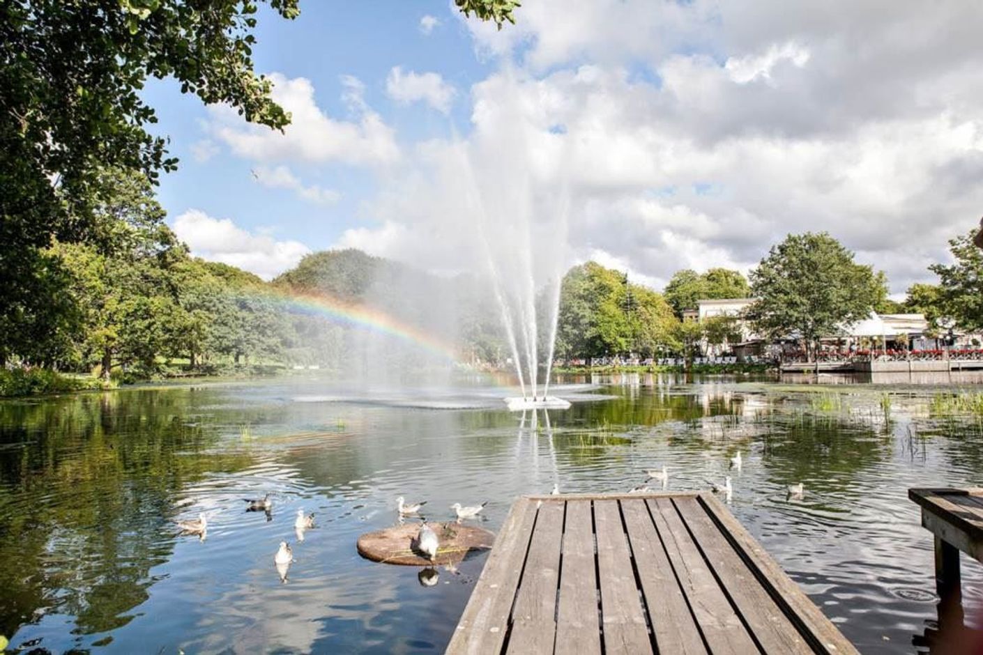 Lågupplöst Slottskogen