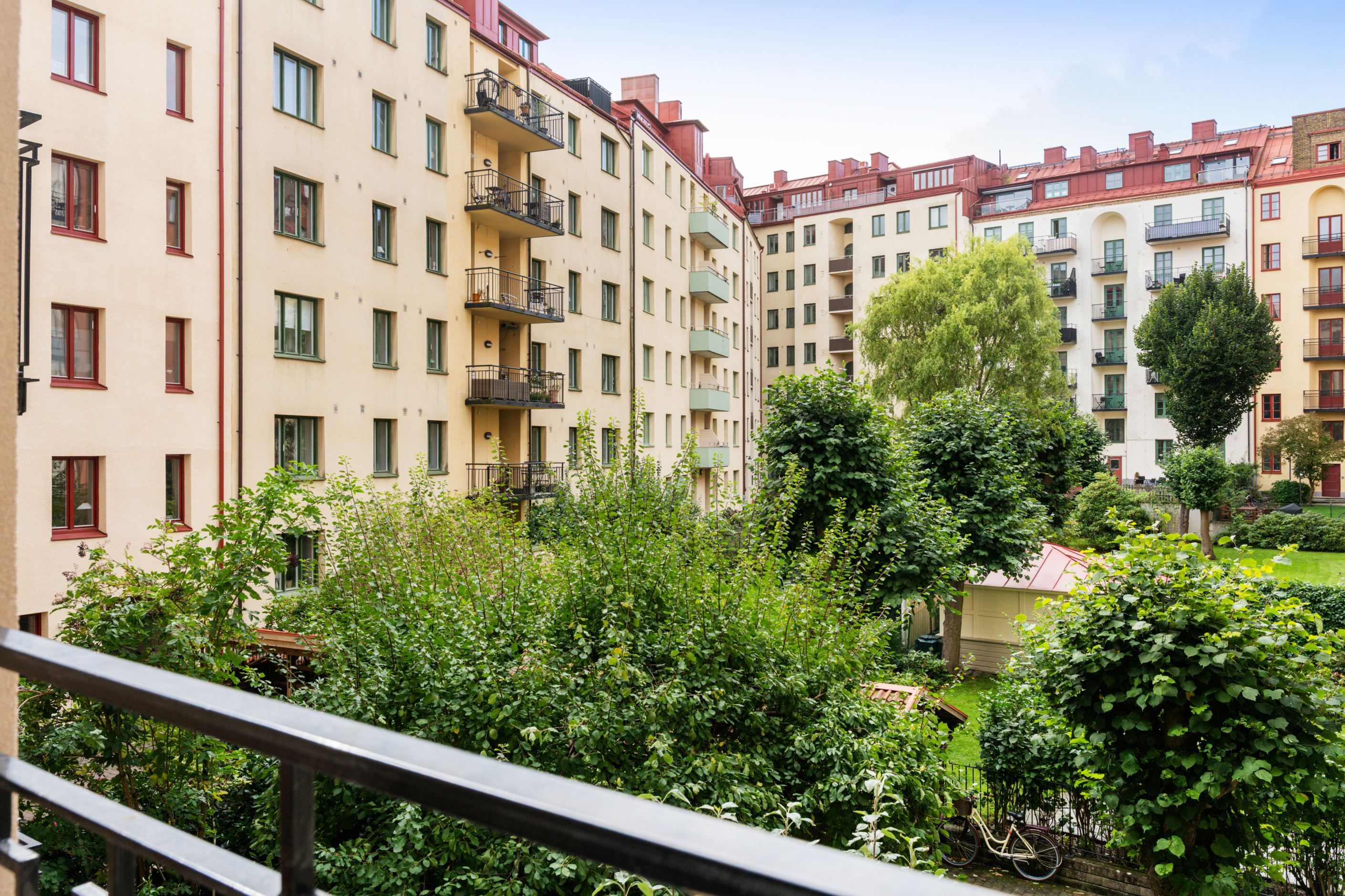 Föreningens lummiga innergård