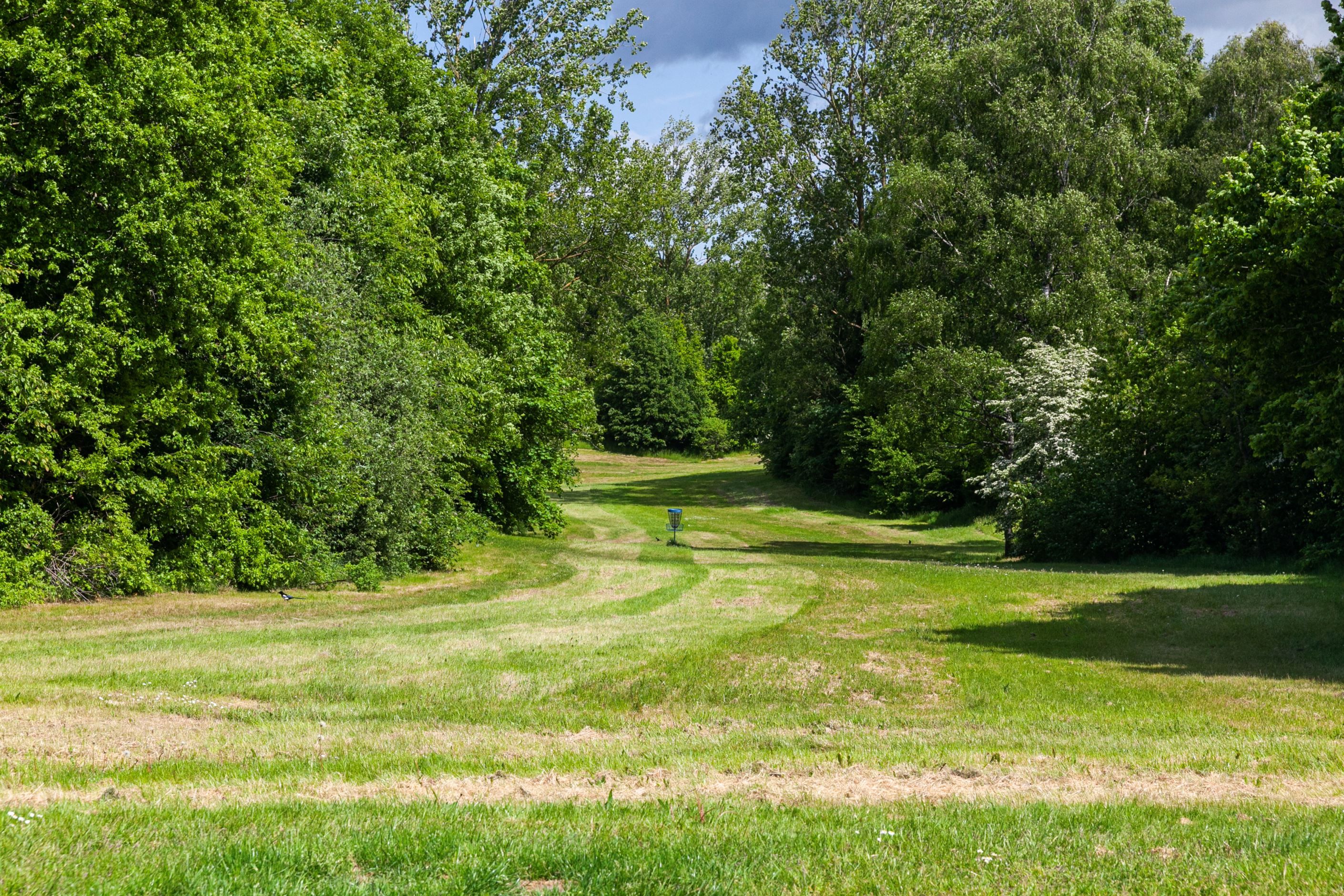 Närhet till grönområden