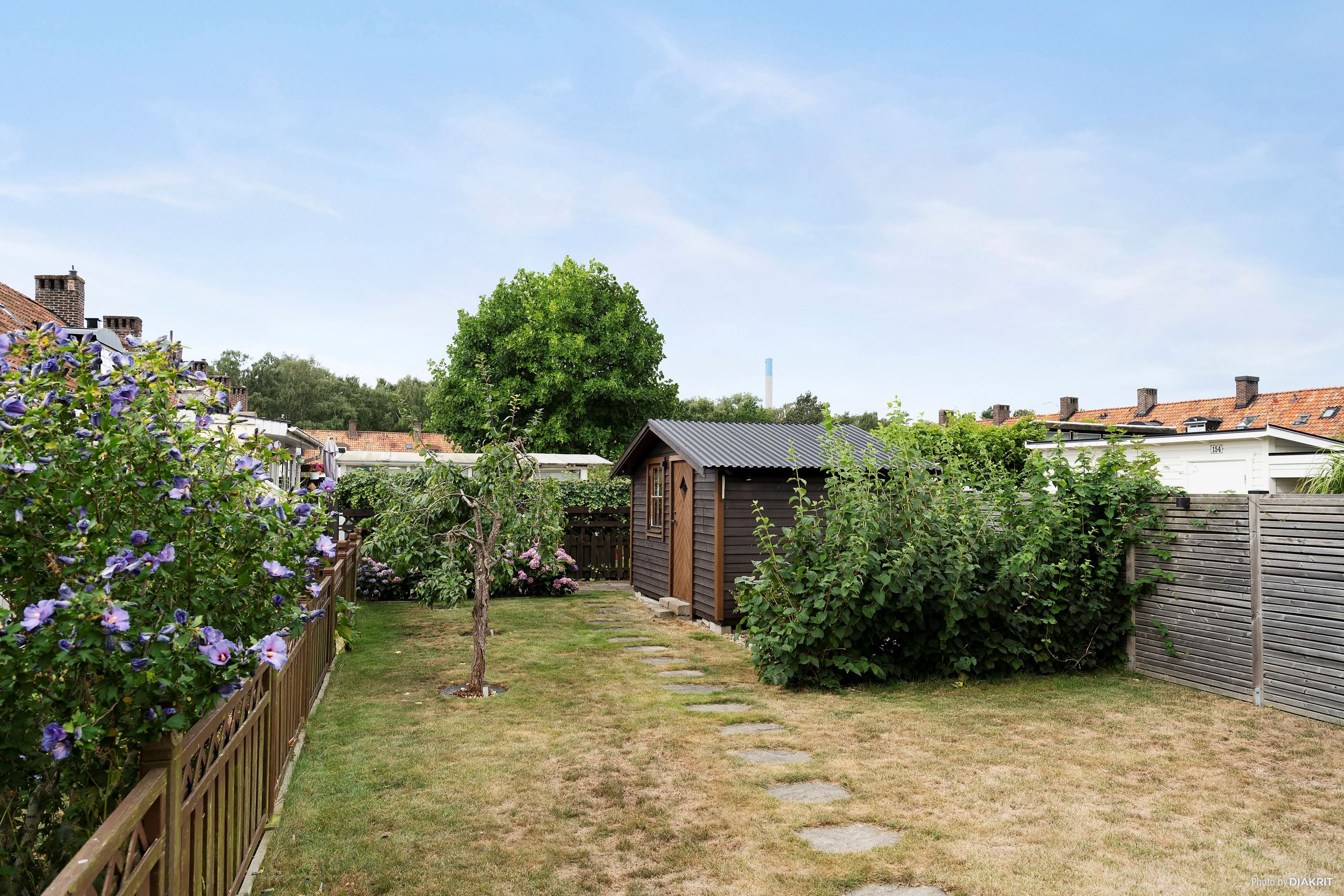 Trädgård