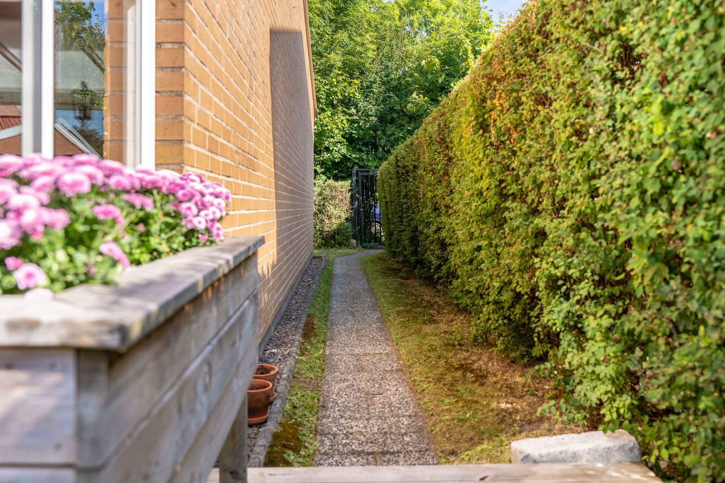 Trädgård