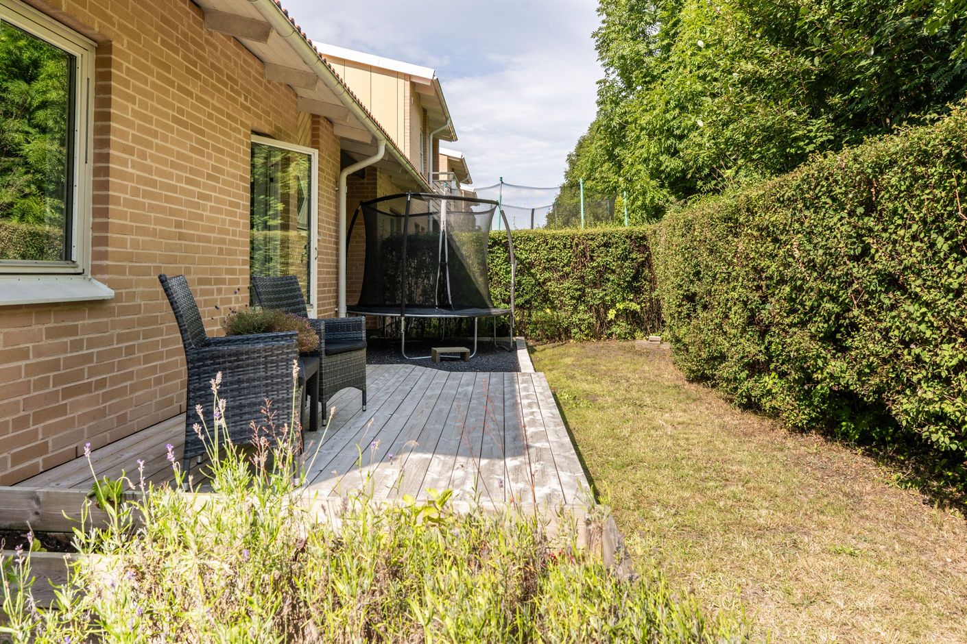 Trädgård
