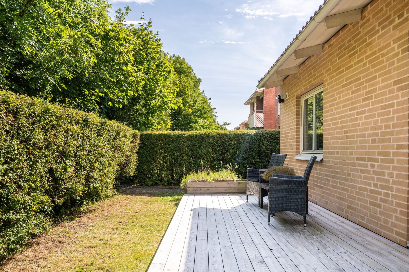 Trädgård