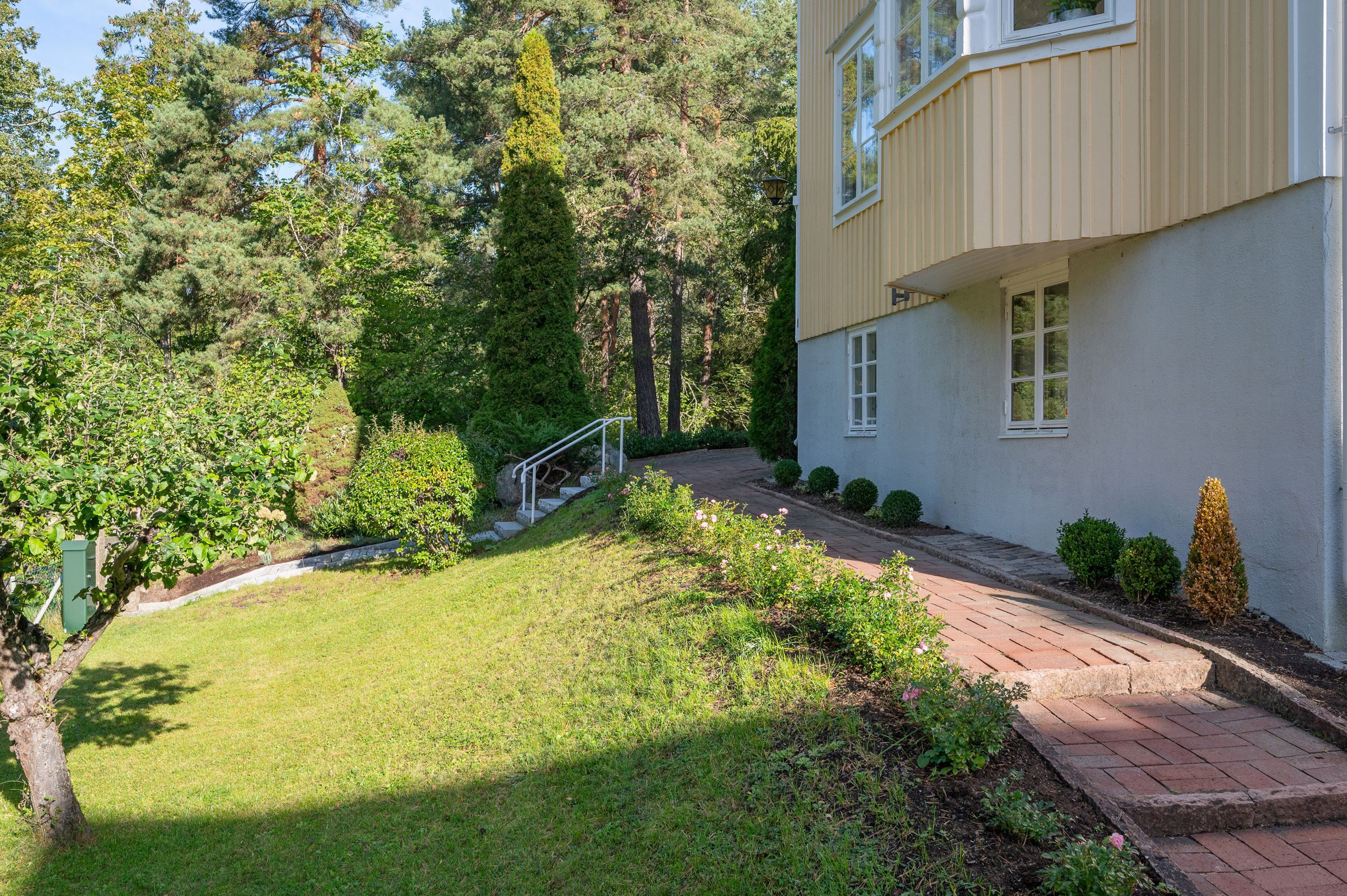 Härliga gröna ytor med skogen som närmaste granne