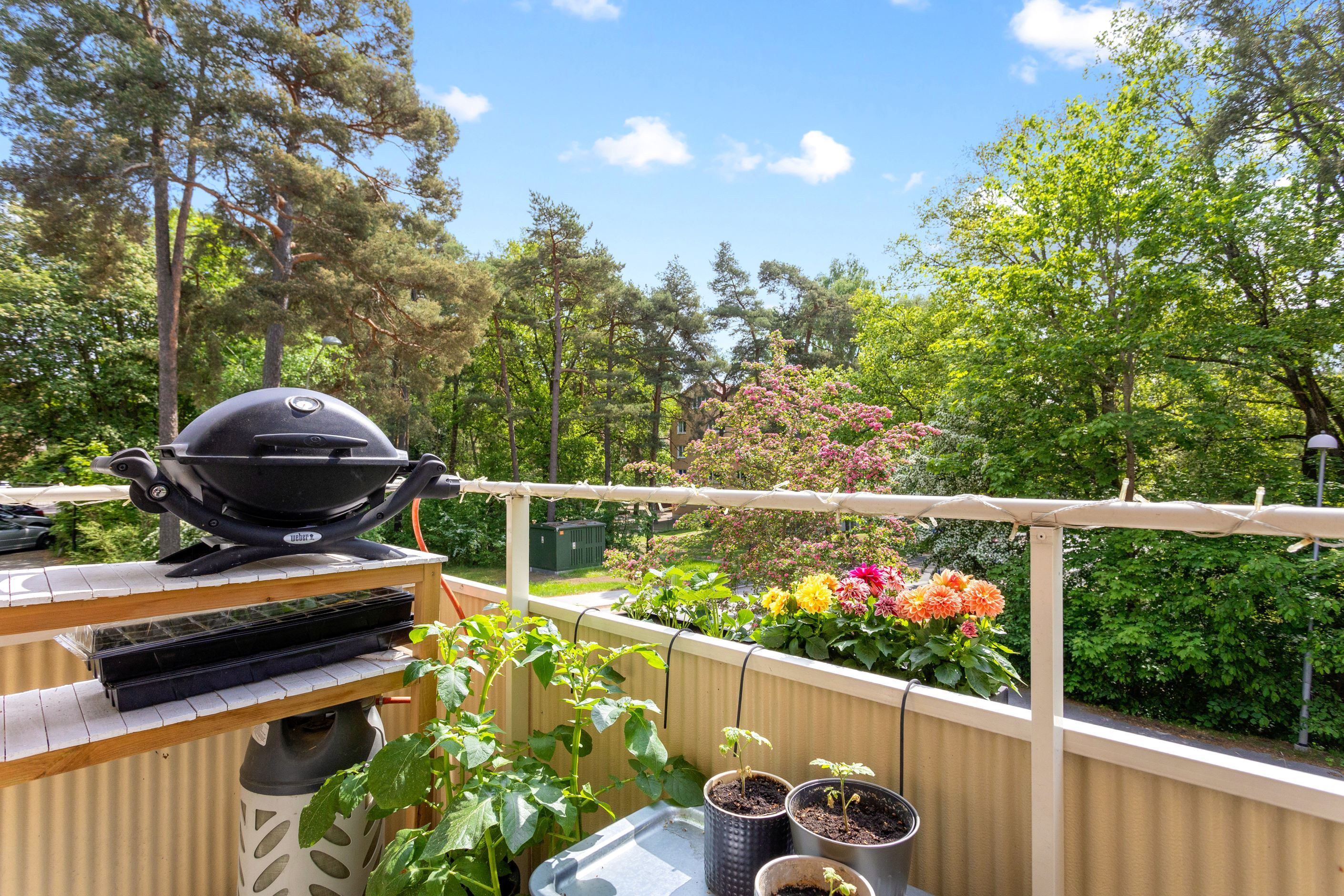 Balkong i söderläge