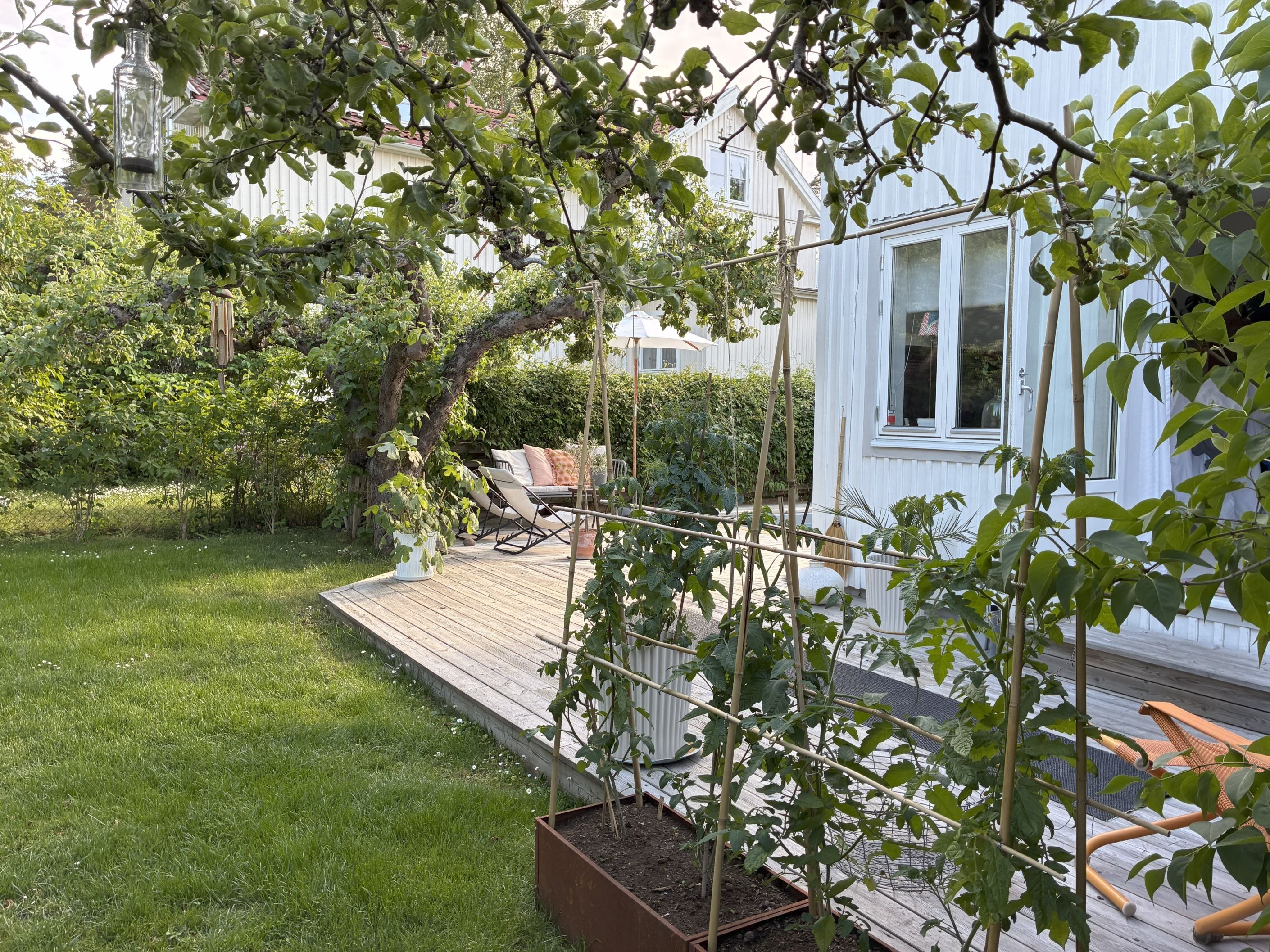 Säljarens sommarbild
