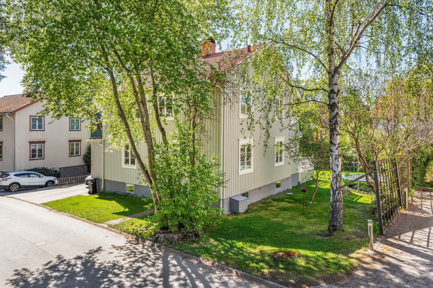 Fin inramning av grönska