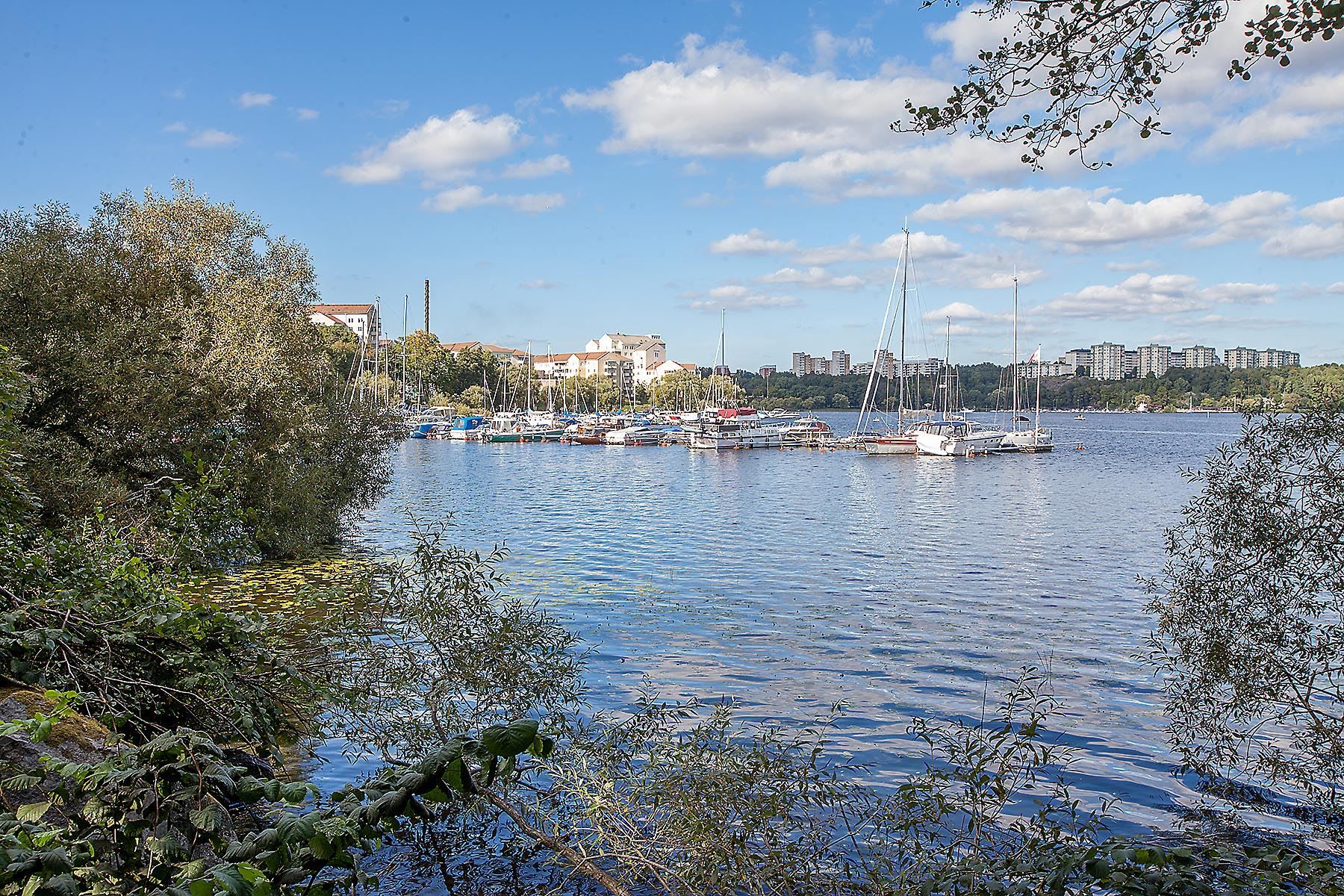 Traneberg i Mälarnära läge