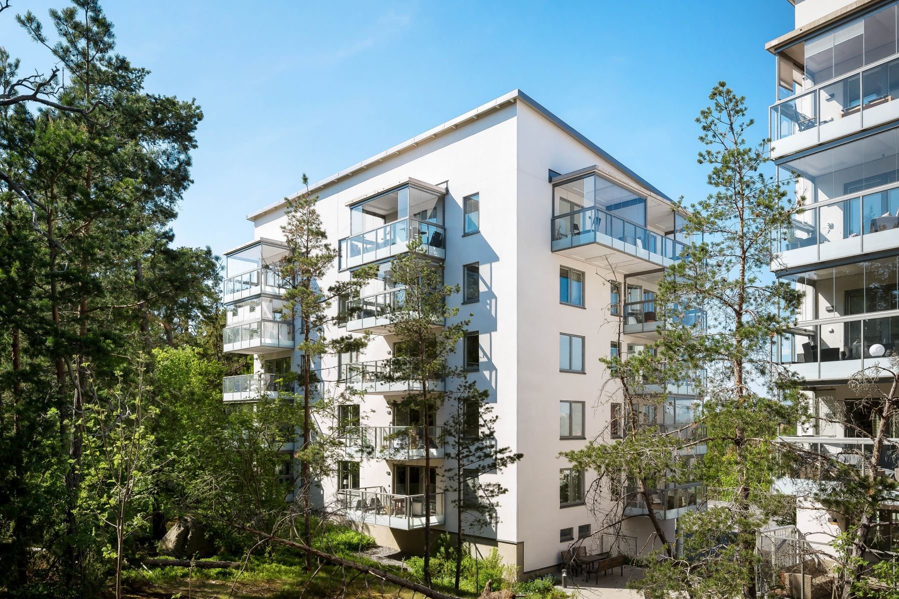 Fint inbäddade i skogsdunge vilket ger vilsam vy i rummen och från balkong