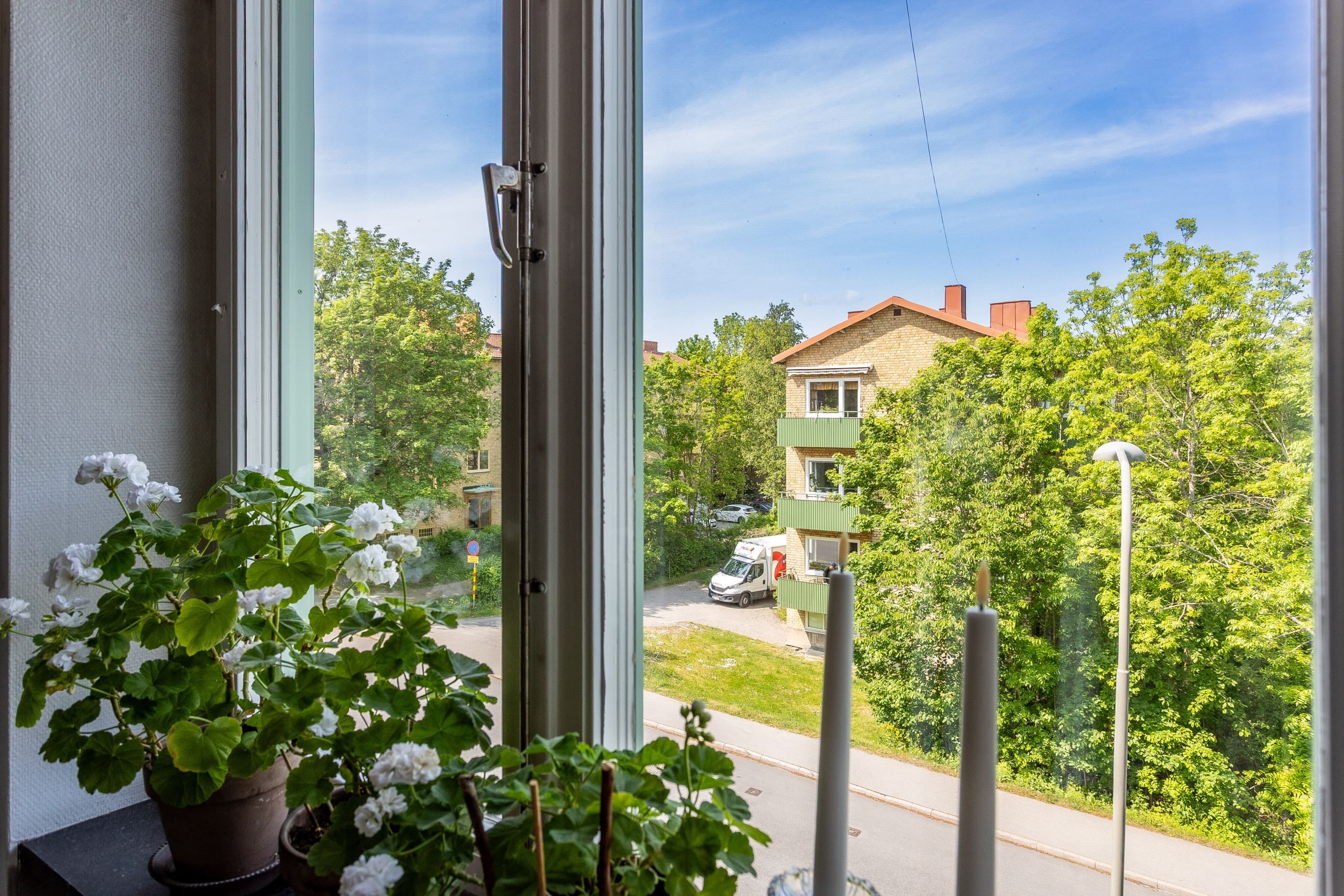 Grönska och himmel utanför