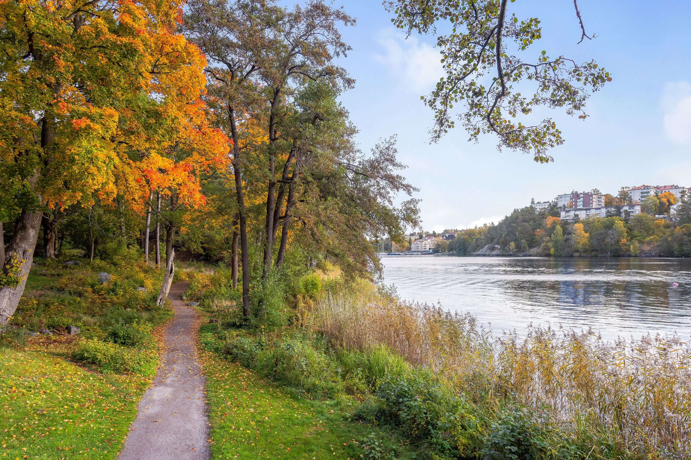 "Badrocksavstånd" till Mälaren med stranden nedanför husen