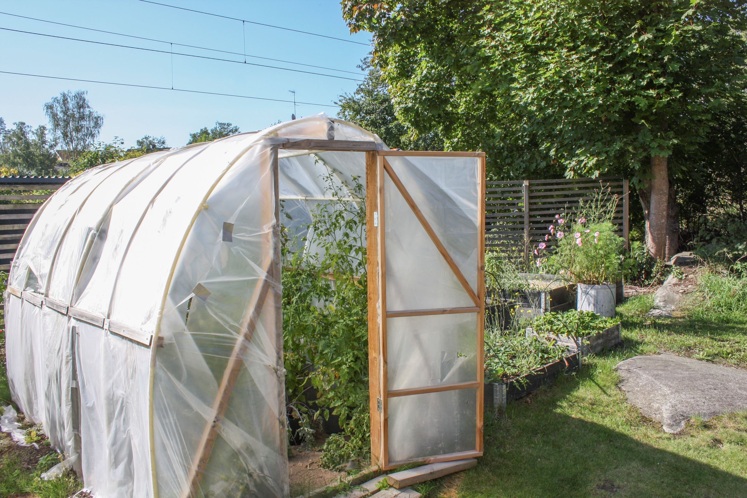 Växthus på föreningens tomt ger tillfälle att odla