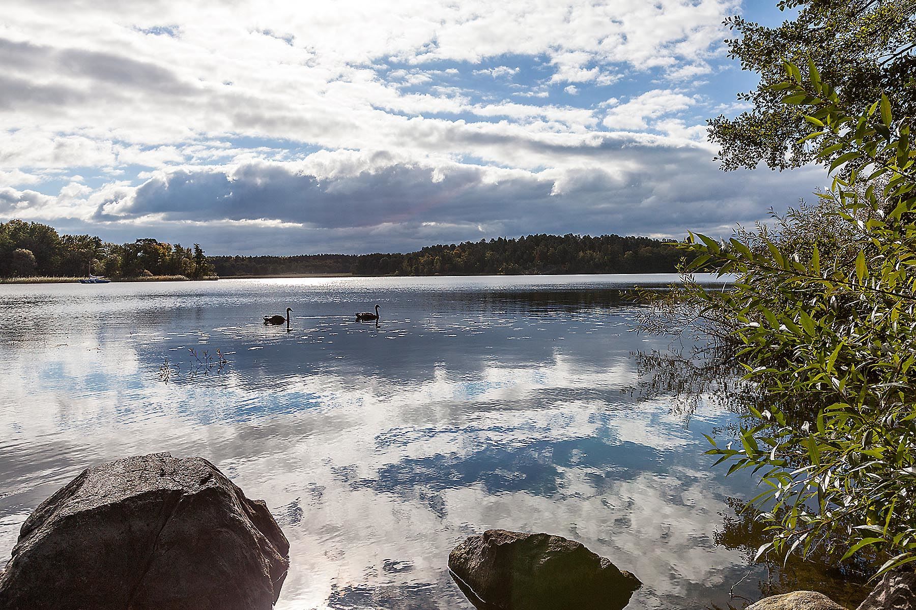 Rogivande atmosfär utmed strandpromenaden