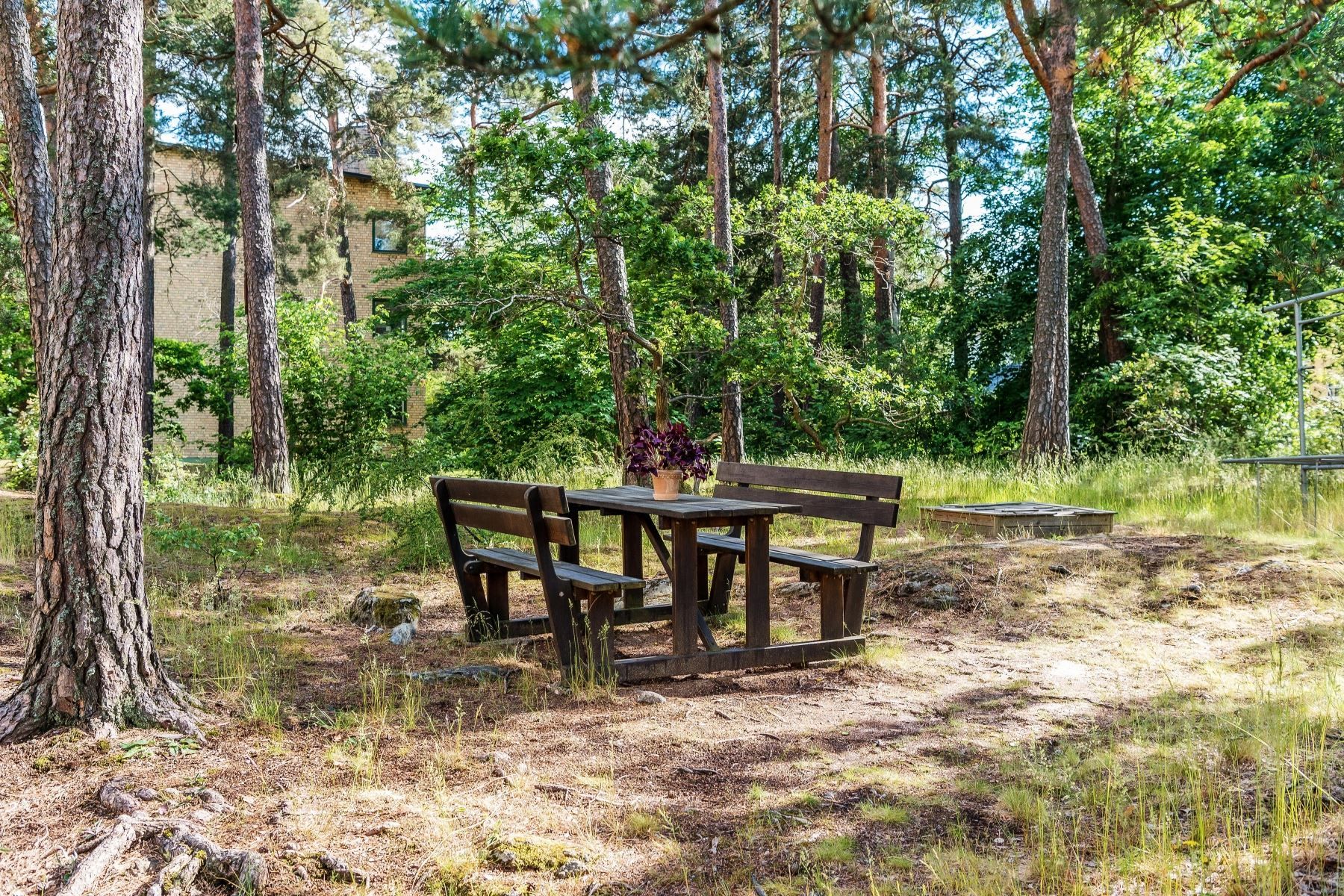 Föreningens lummiga gård