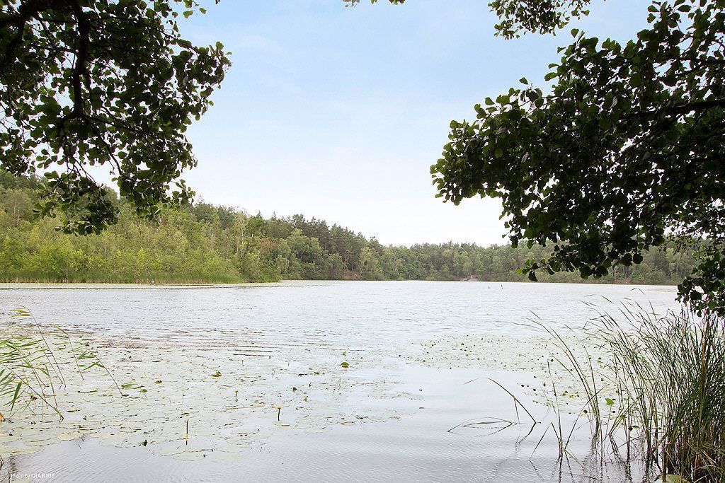Sjön i Judarskogen