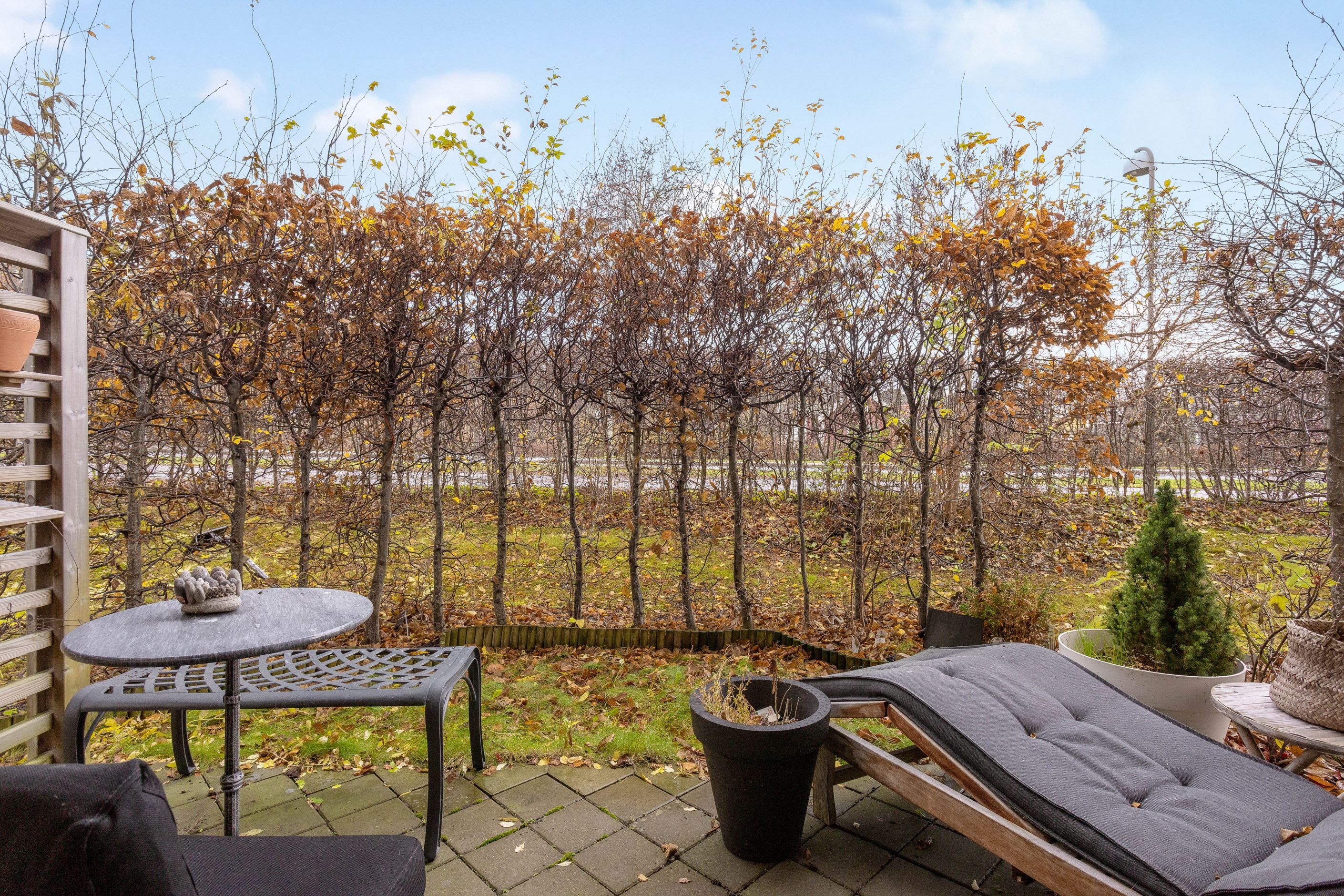 Här skapar Avenboken ett privat uterum sommartid