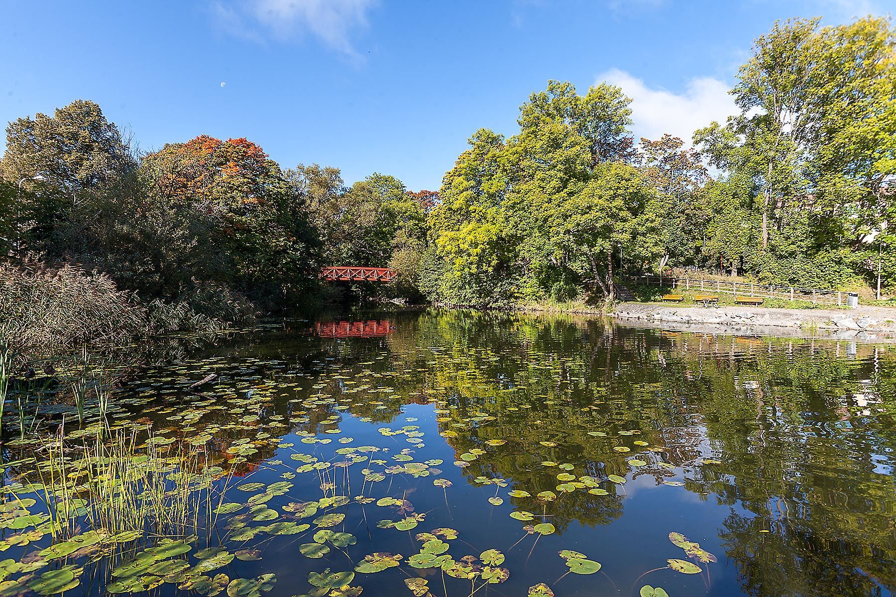 Bro där Lillsjön mynnar ut i Mälaren