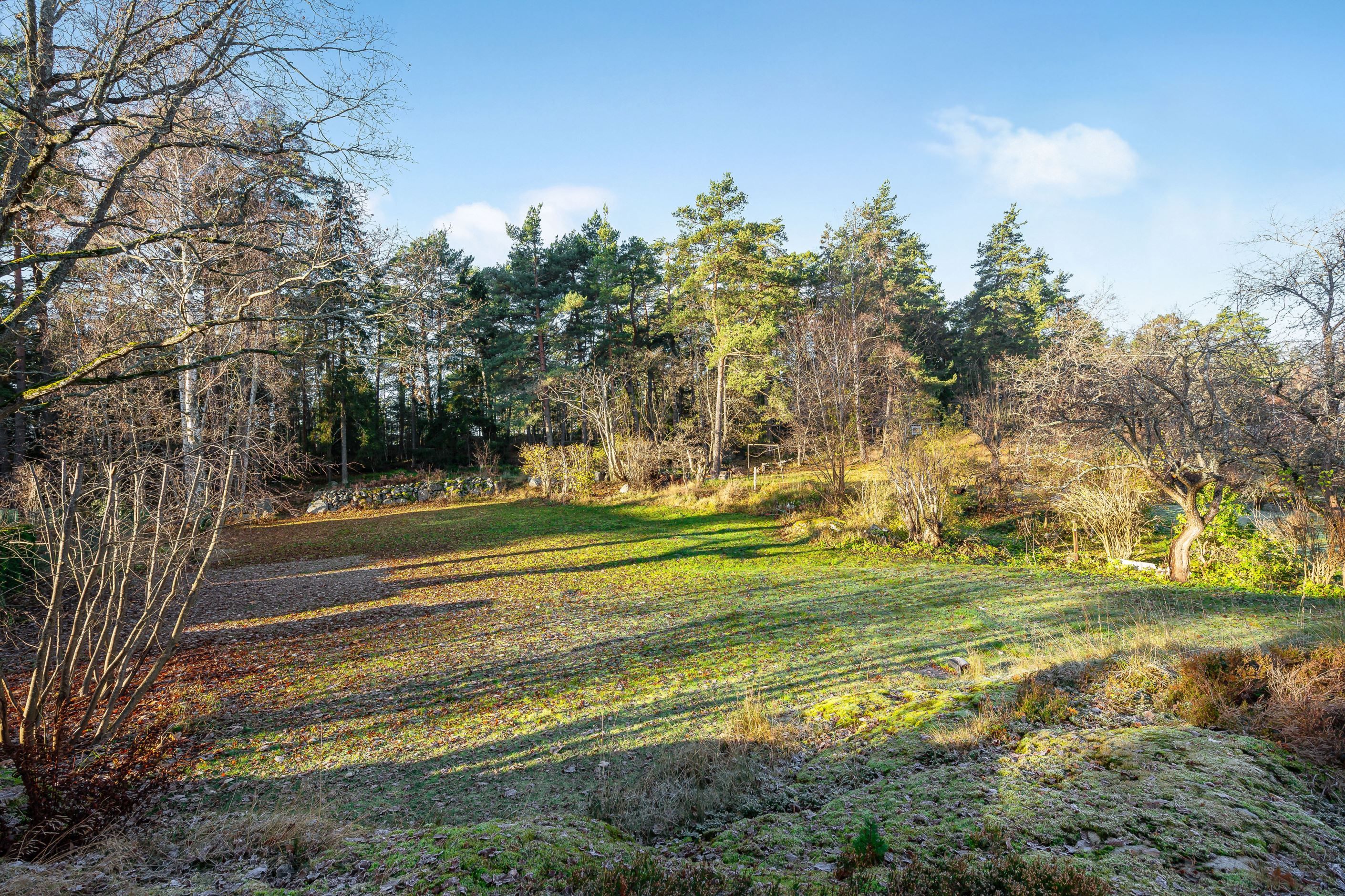 Tomt med sol från morgon till kväll