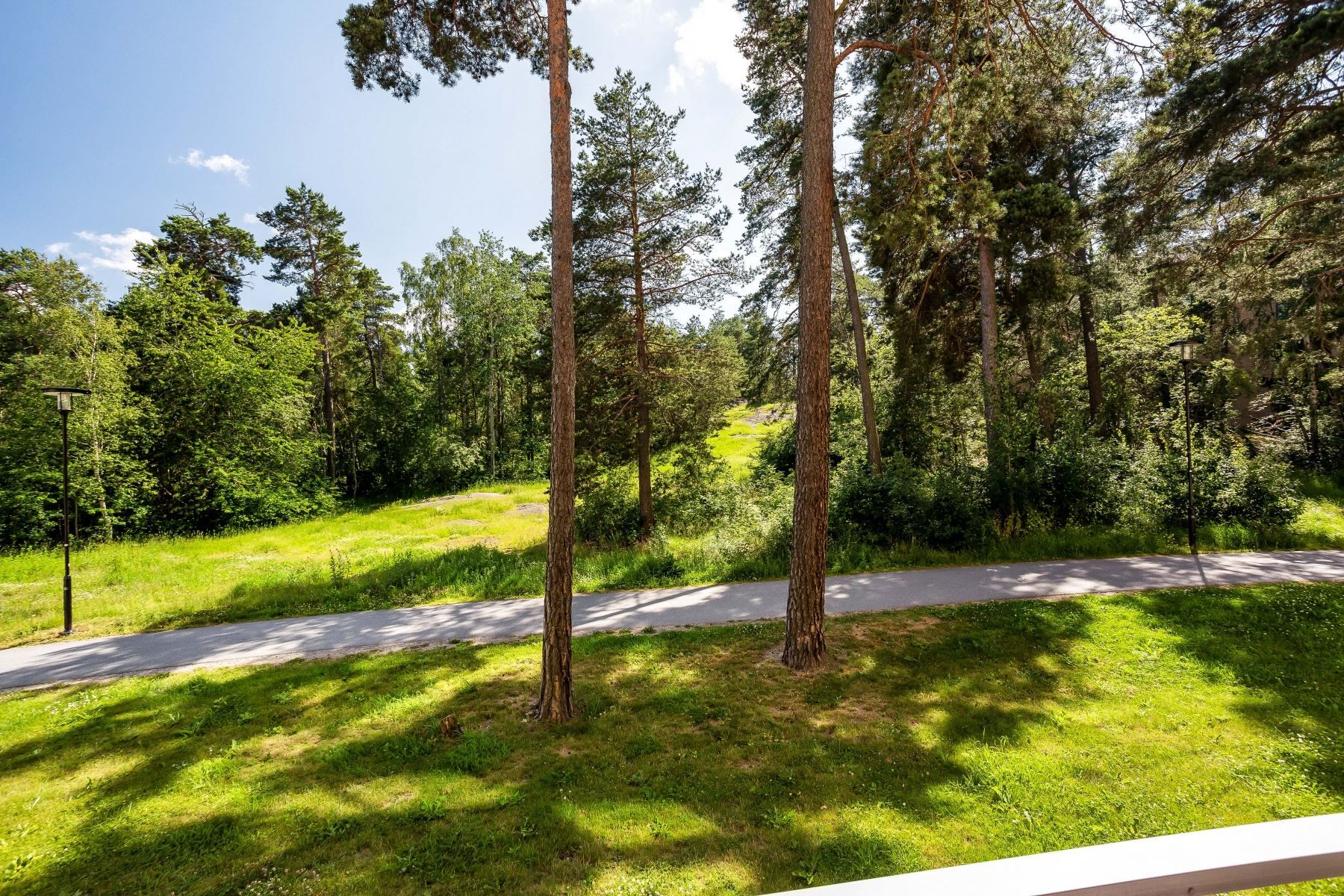 Bara grönska utanför balkong och fönster