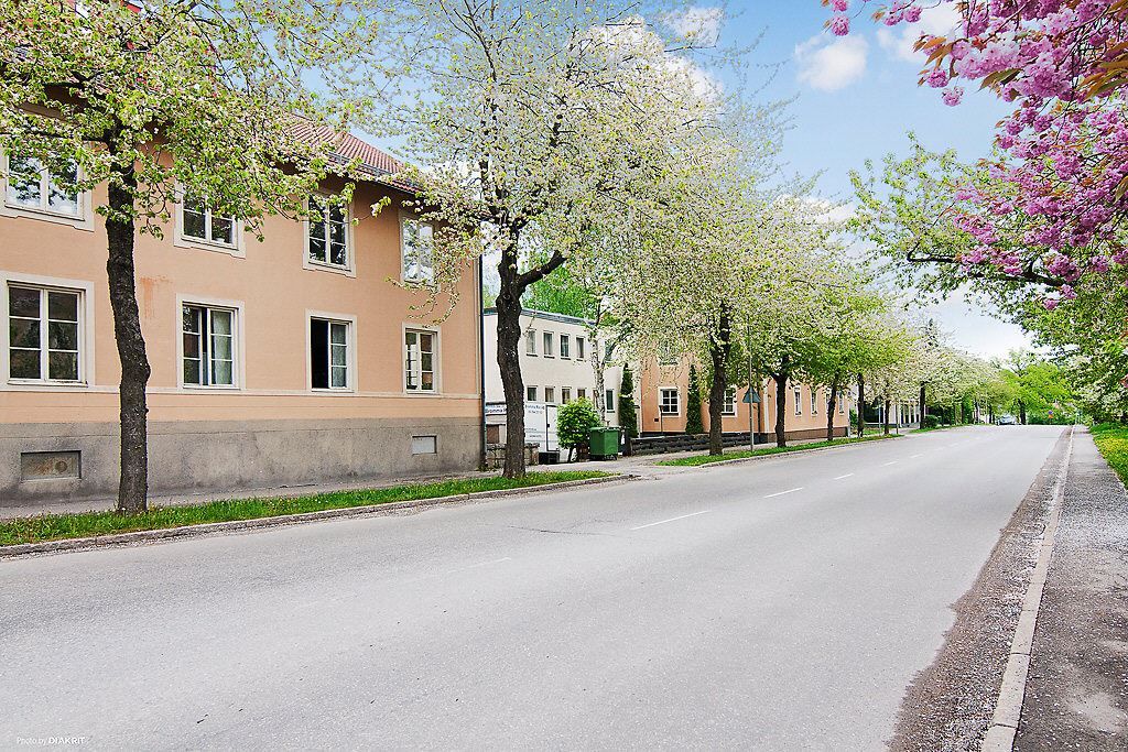 Västerled med bedårande körsbärsträdsallé..