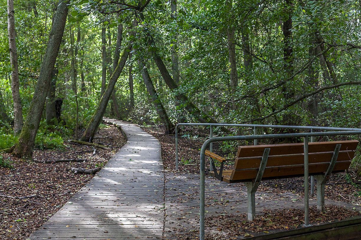 Vackra promenadvägar runt Kyrksjön