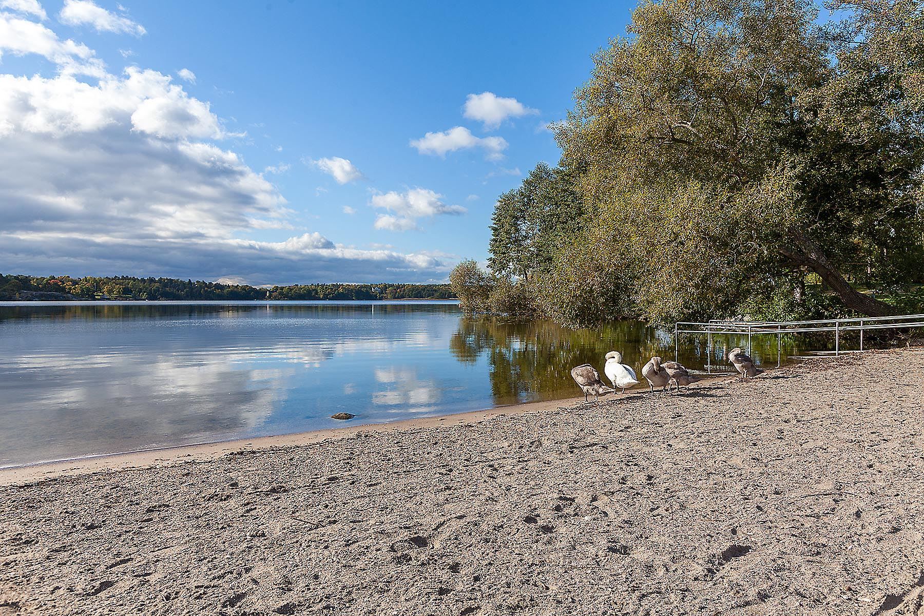Nära ner till Mälaren med såväl solvarma klippor som stränder