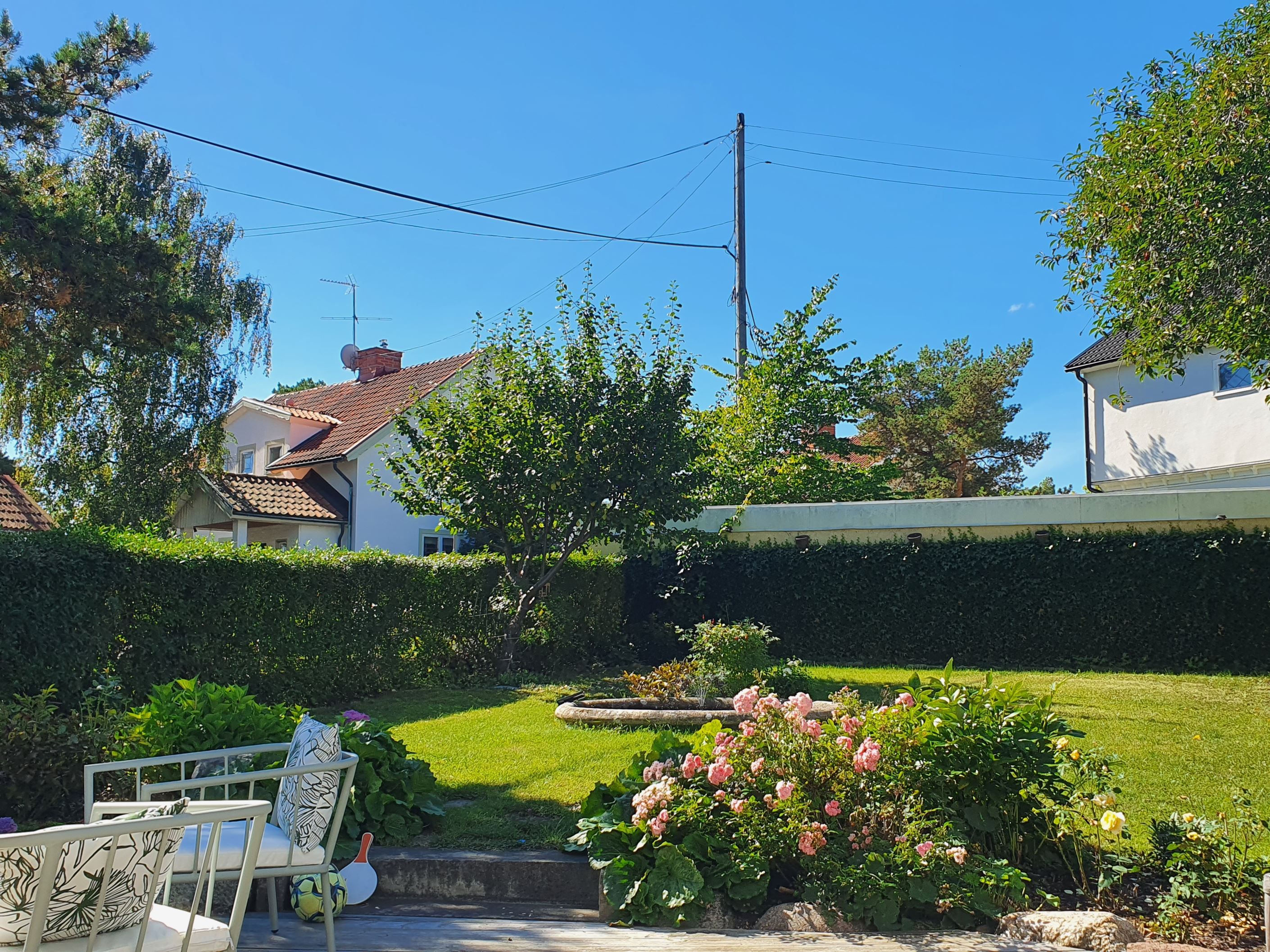 Säljarens sommarbild