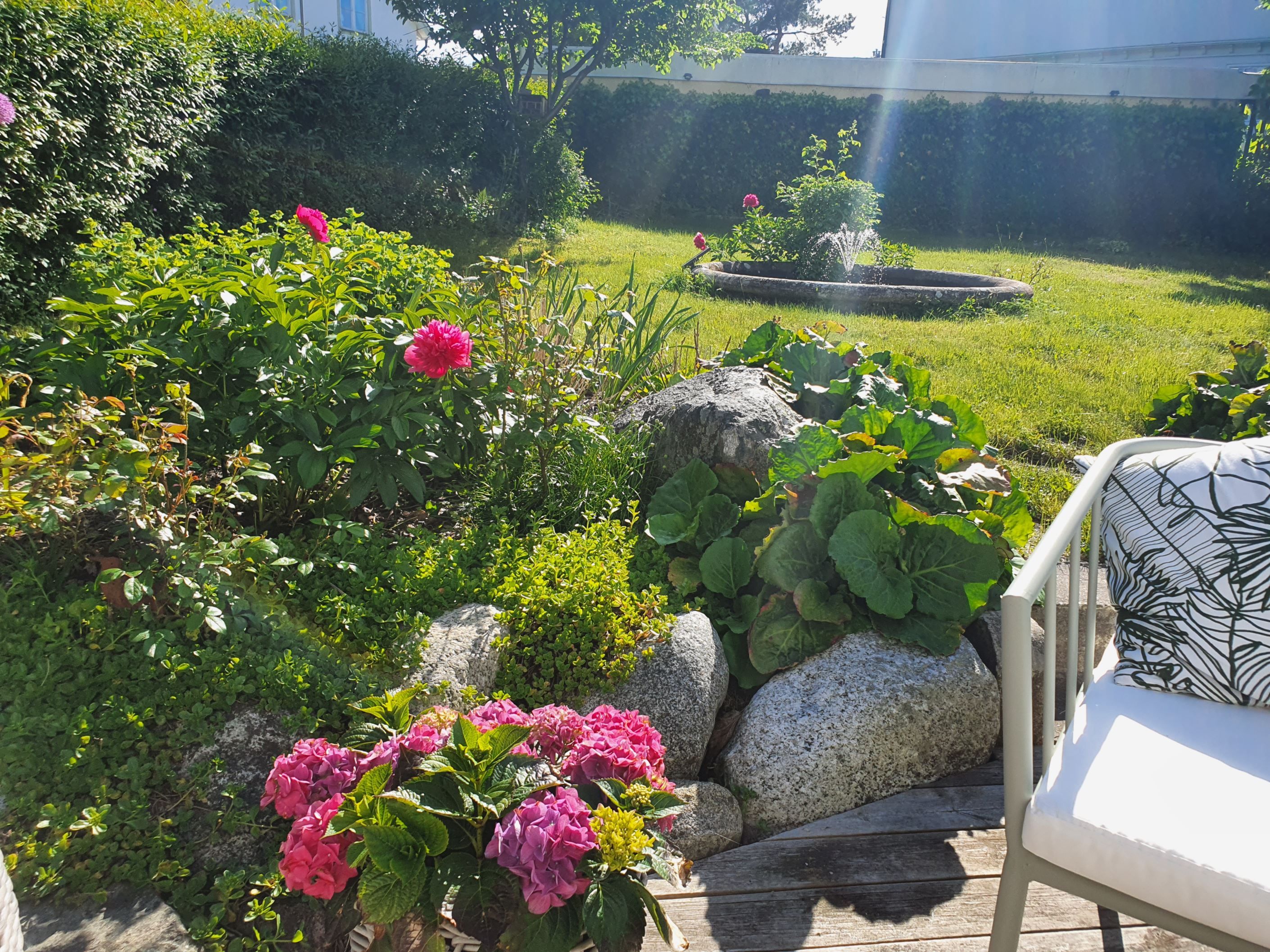 Säljarens sommarbild - Perenner som blommar vackert i anlagda rabatter