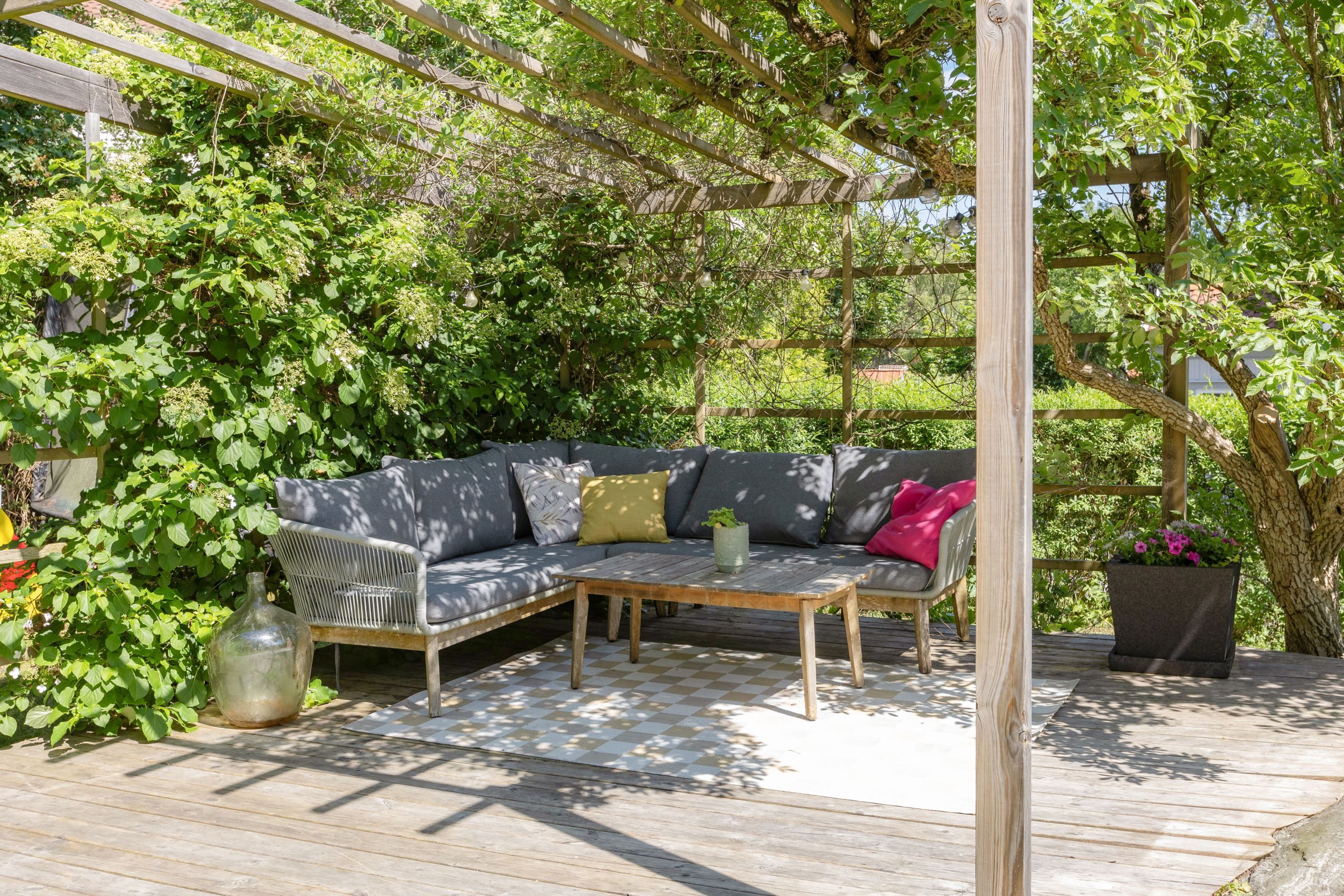 Underbar loungemiljö inbäddad i grönska