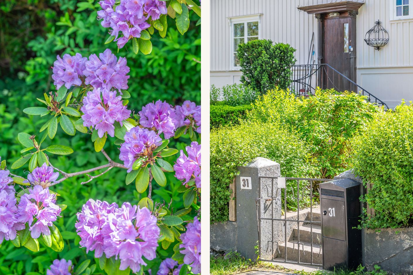 Tomten blommar vackert från vår till höst