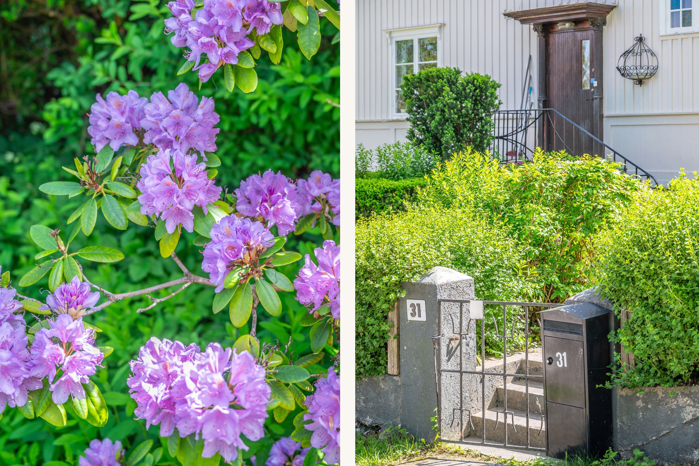 Tomten blommar vackert från vår till höst