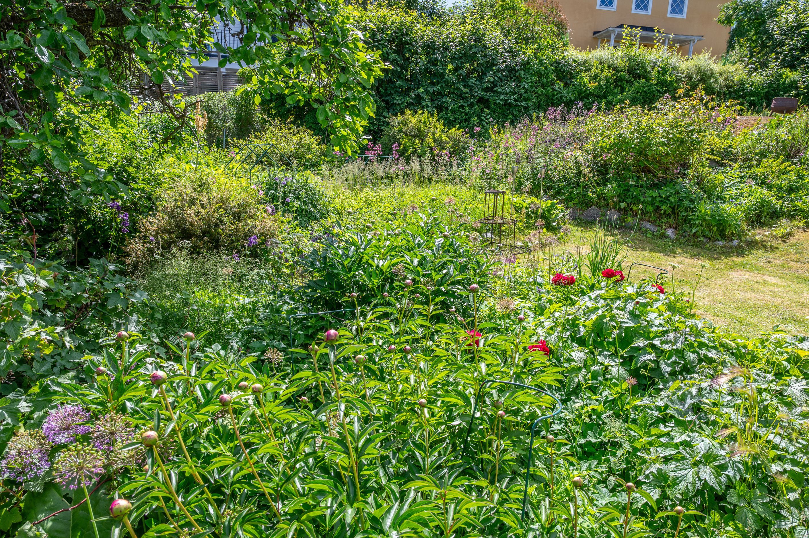 Här blommar perennerna från vår till höst...