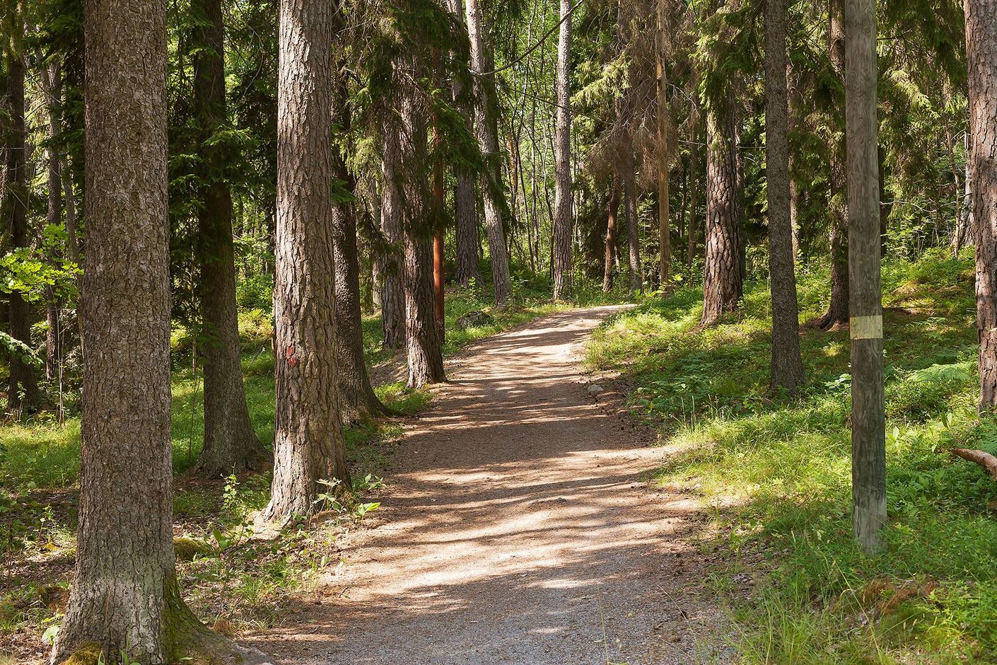 Joggingslingor med elljus i närområdet