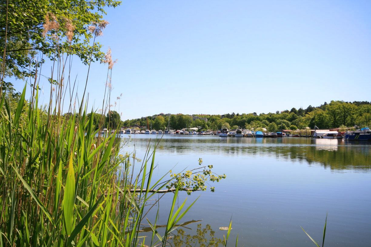 Mälarvik med fina strövstigar