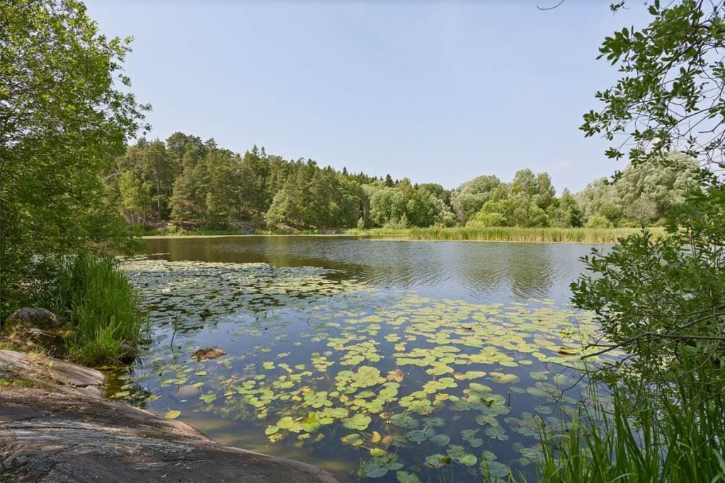 Områdesbild - Naturomgivning