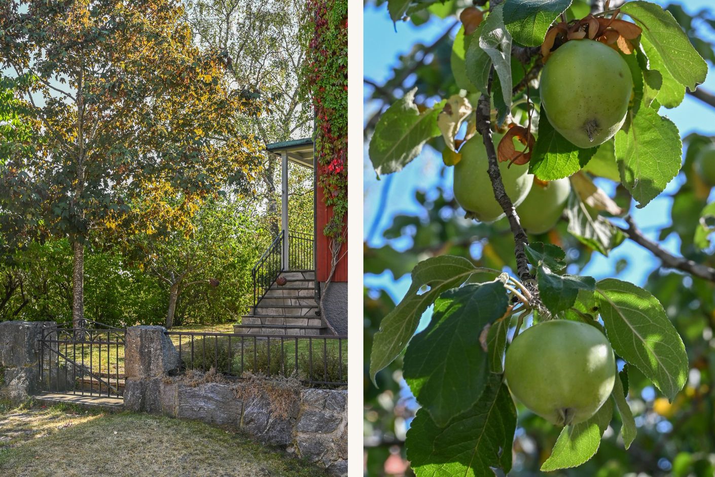 Välkommen till Orsavägen 11