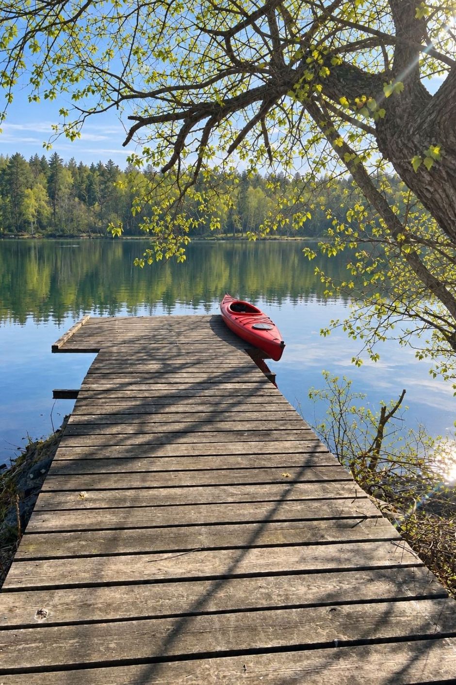 Kaggens Täppas väg 3 – bild 5