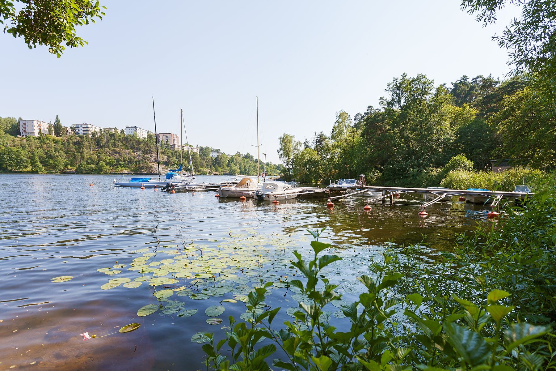 Äppelviken