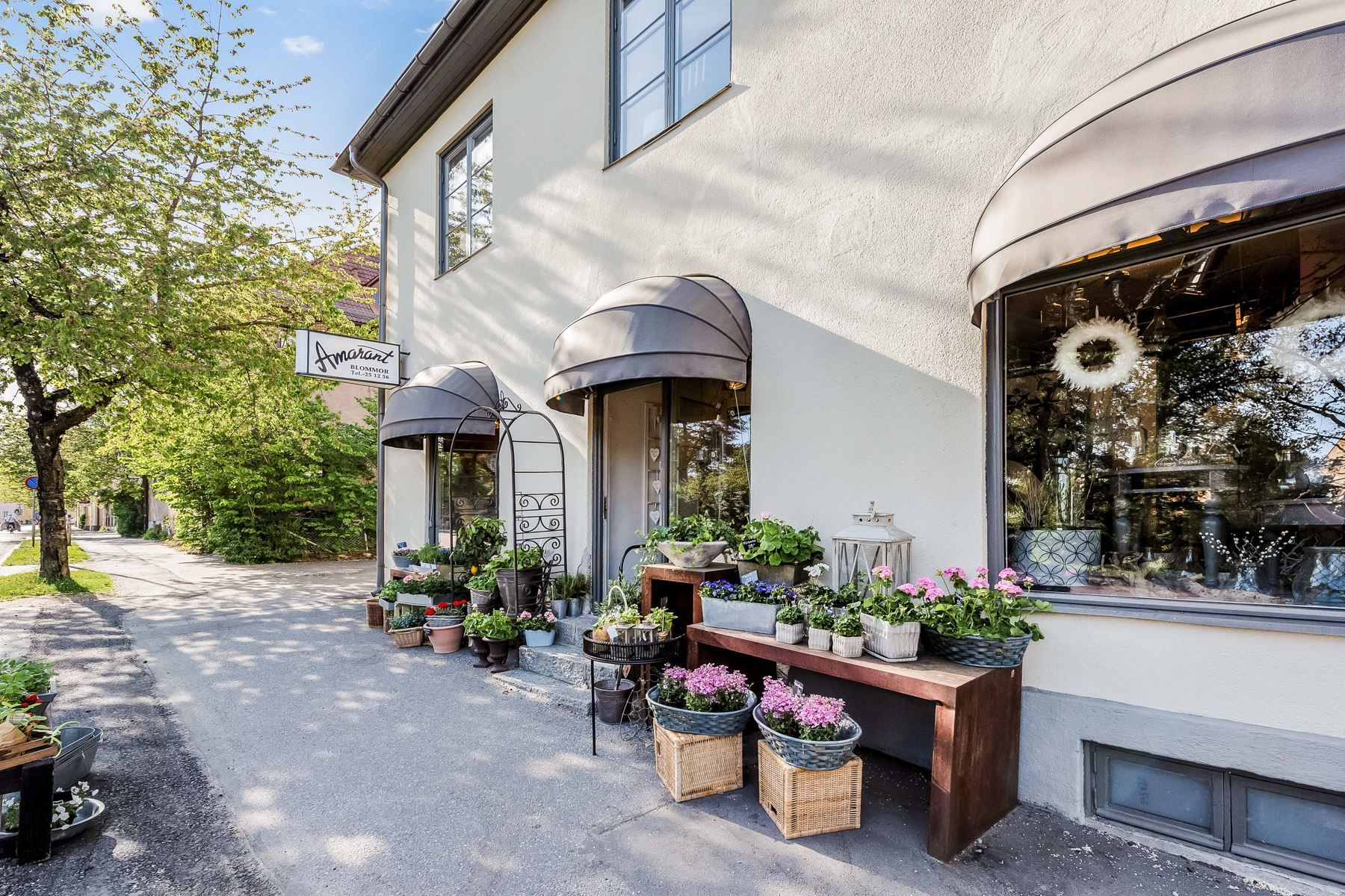 Amarant blommor, Äppelviken