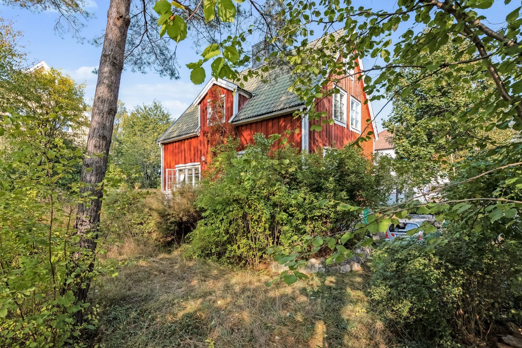 Vildvuxen tomt med goda förutsättningar för lek och bus