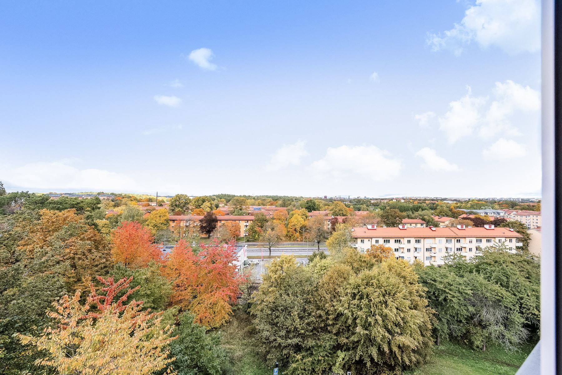 Milsvid utsikt över trädtoppar och takåsar från samtliga lägenhetens fönster