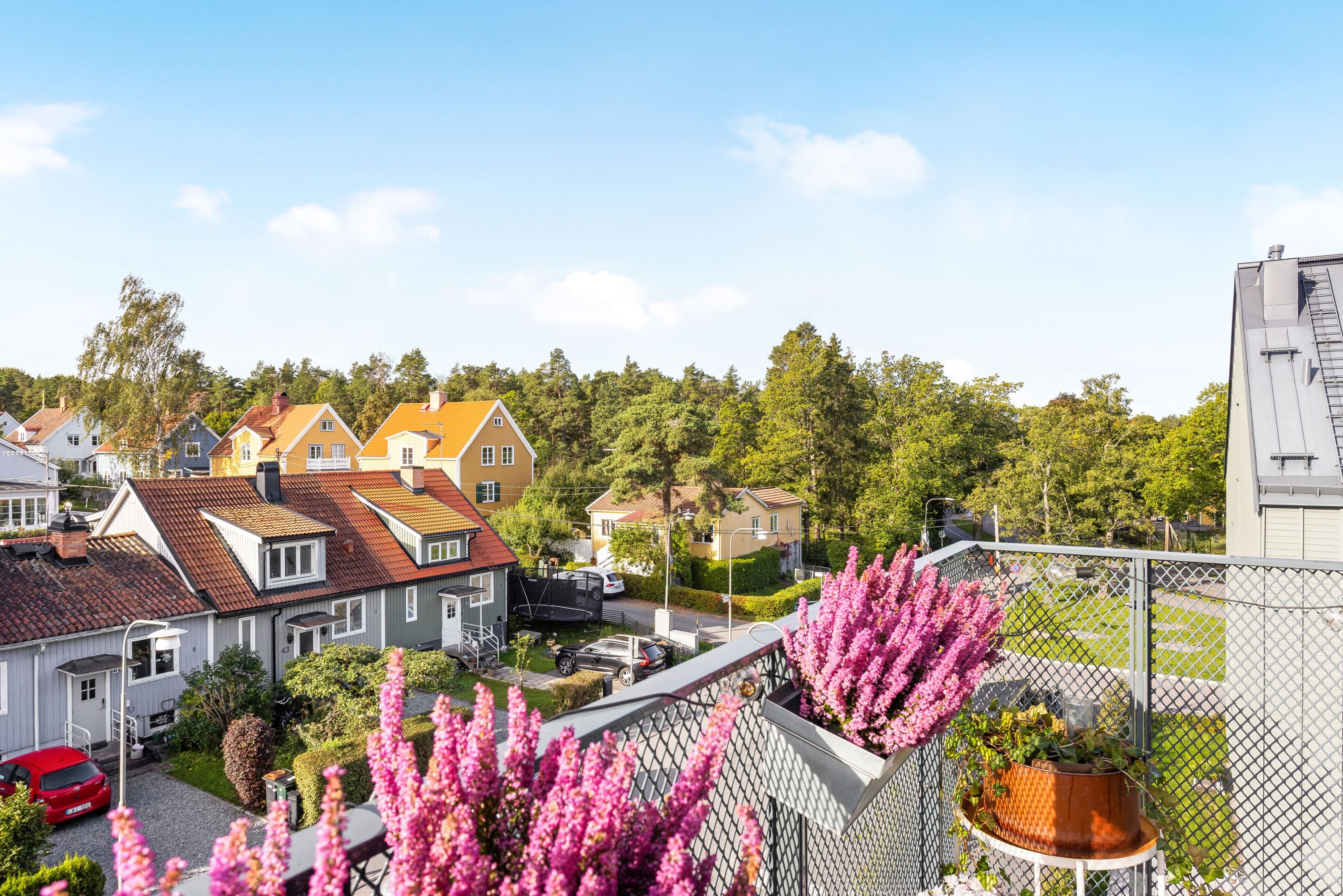 Utsikt över Äppelvikens takåsar