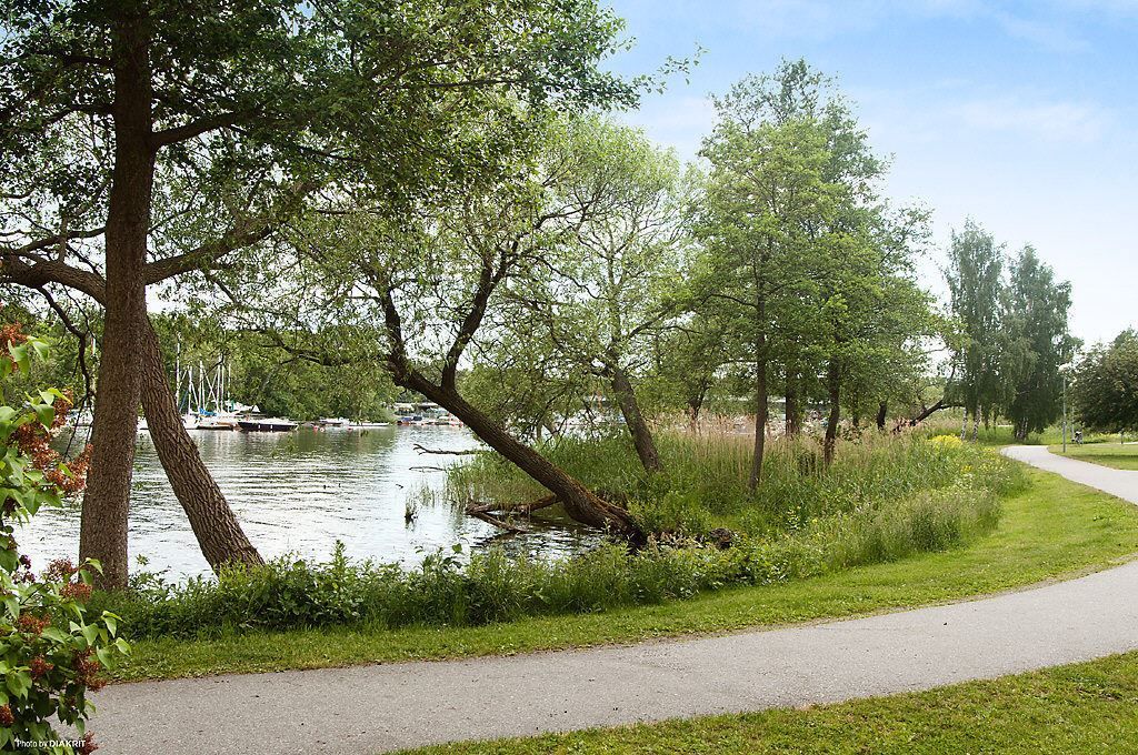 Promenadslingor utmed Mälarens strand