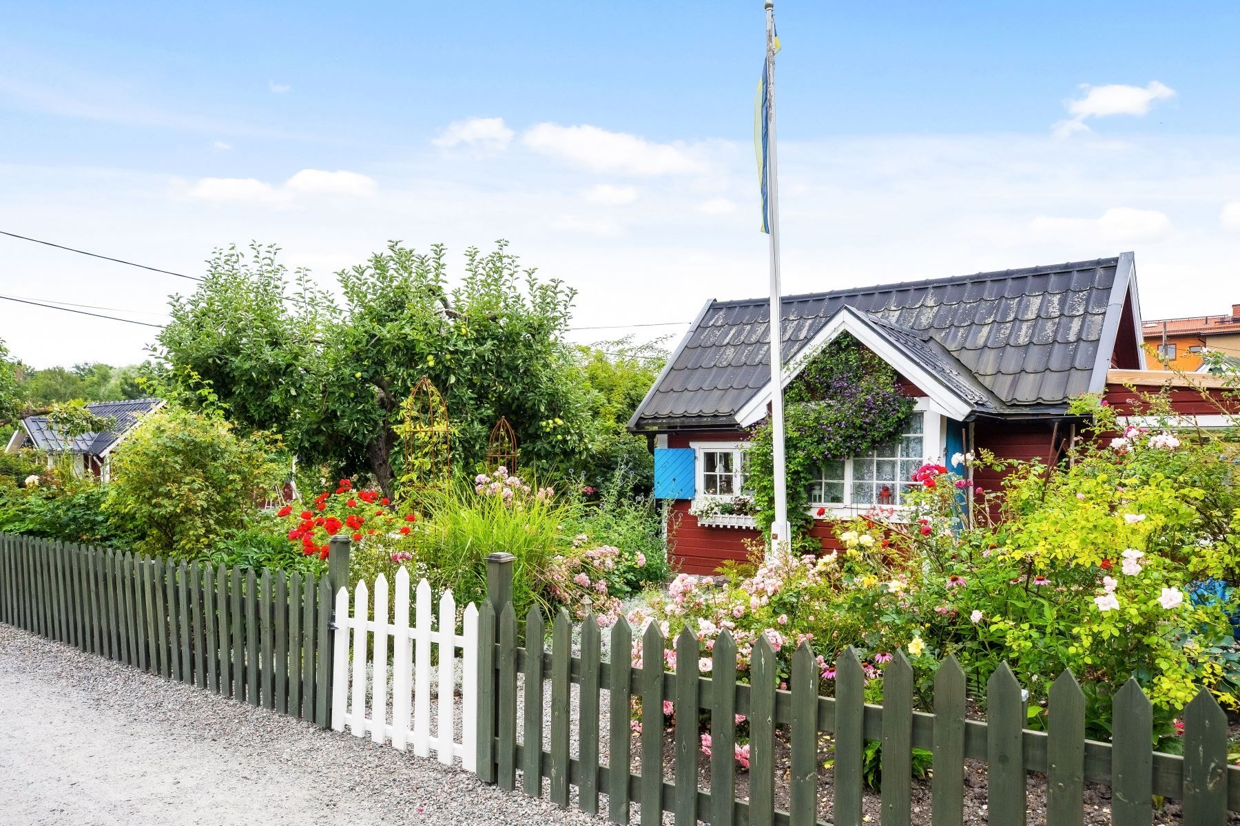 Granne med charmigt koloniområde som blommar vackert från vår till höst