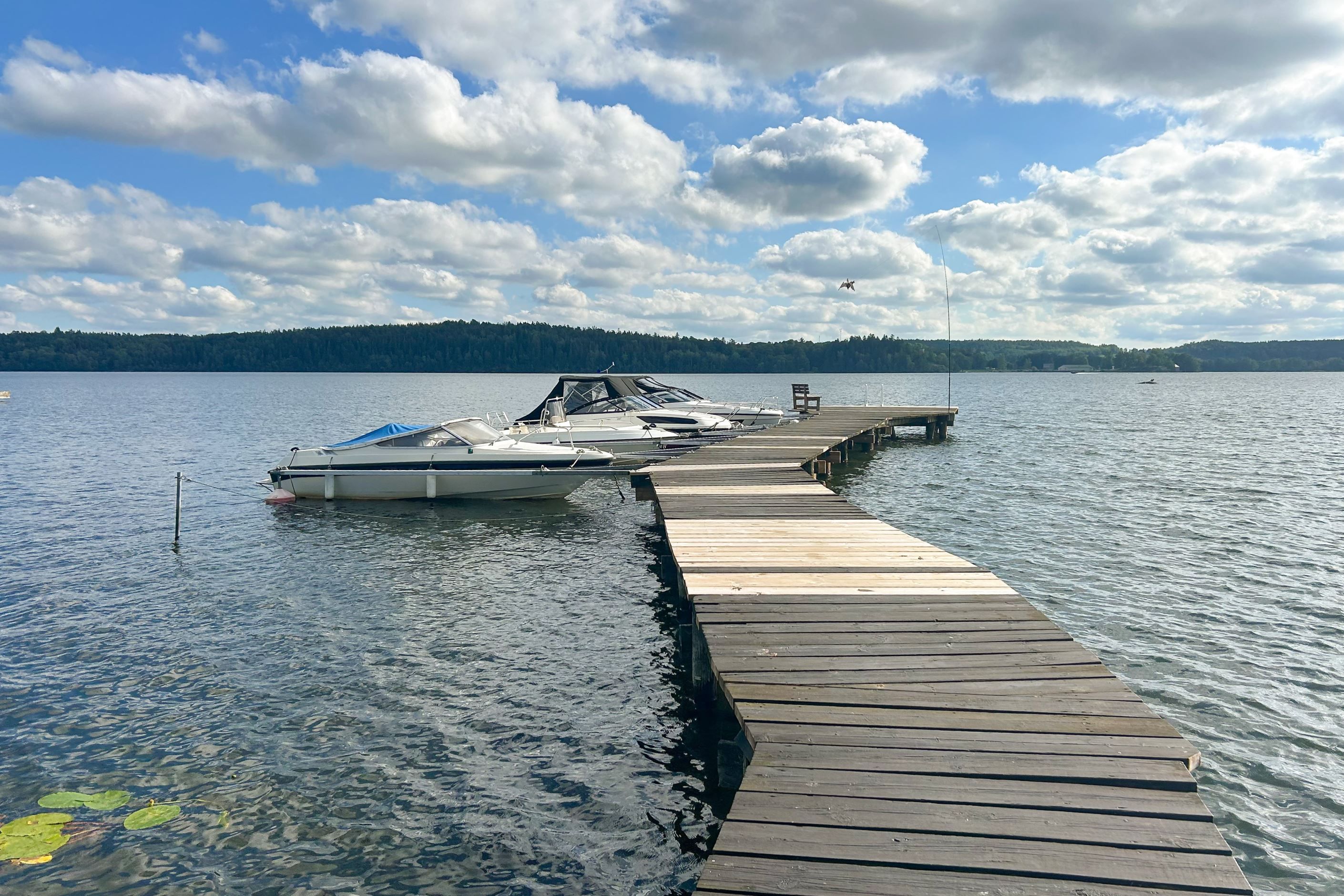 Del i brygga med båtplats och badstege