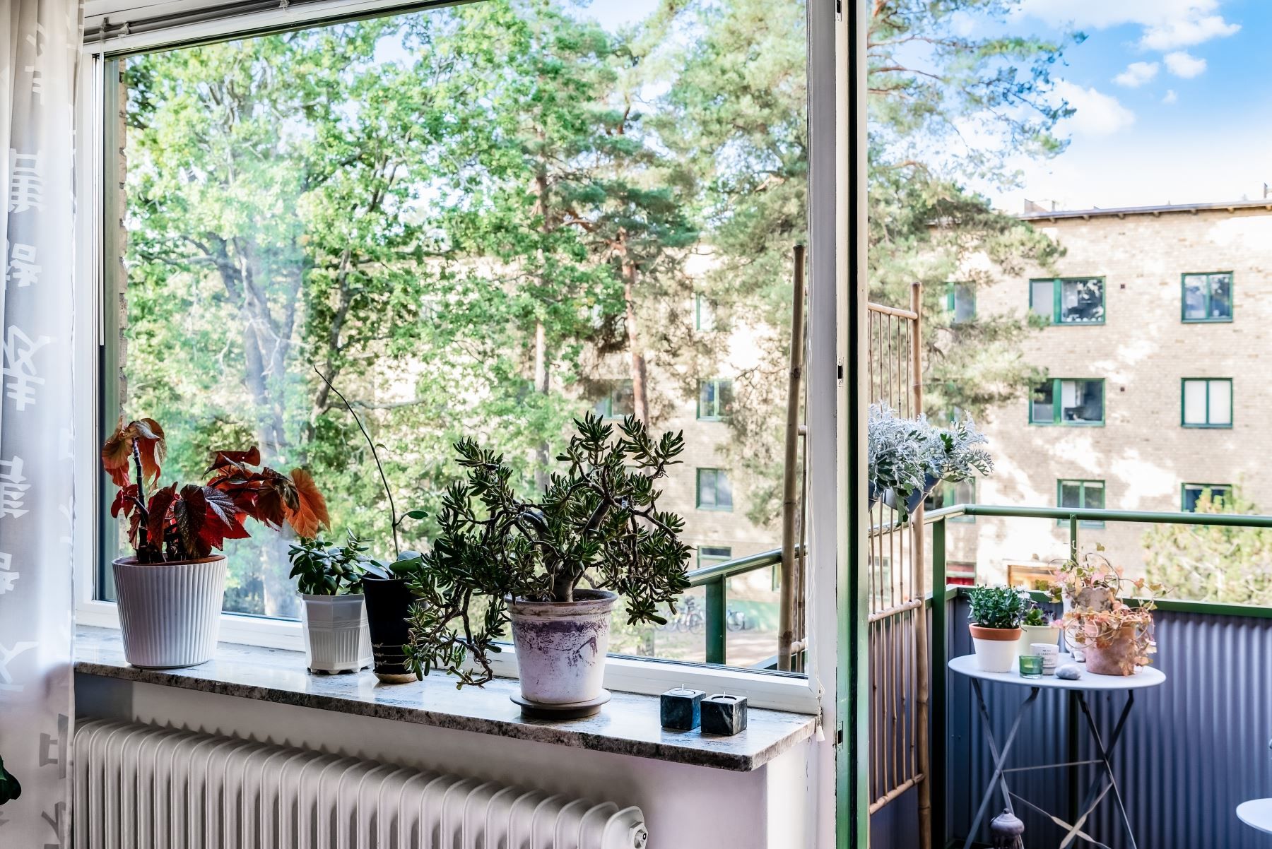 Stort fönsterparti