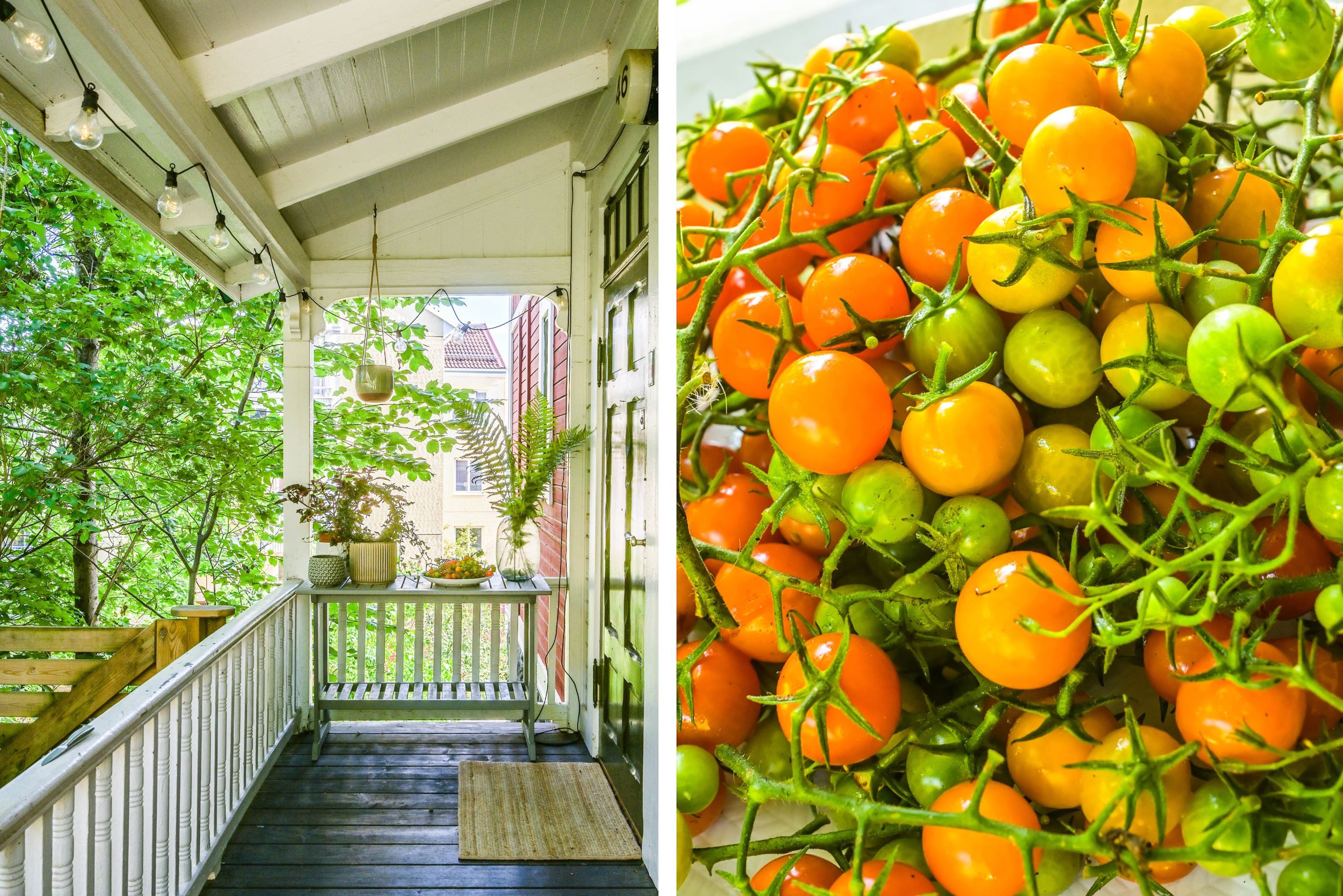 Välkommen på visning