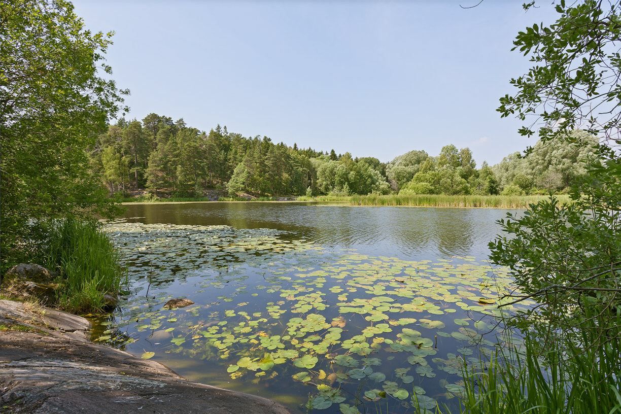 Områdesbild - Naturomgivning